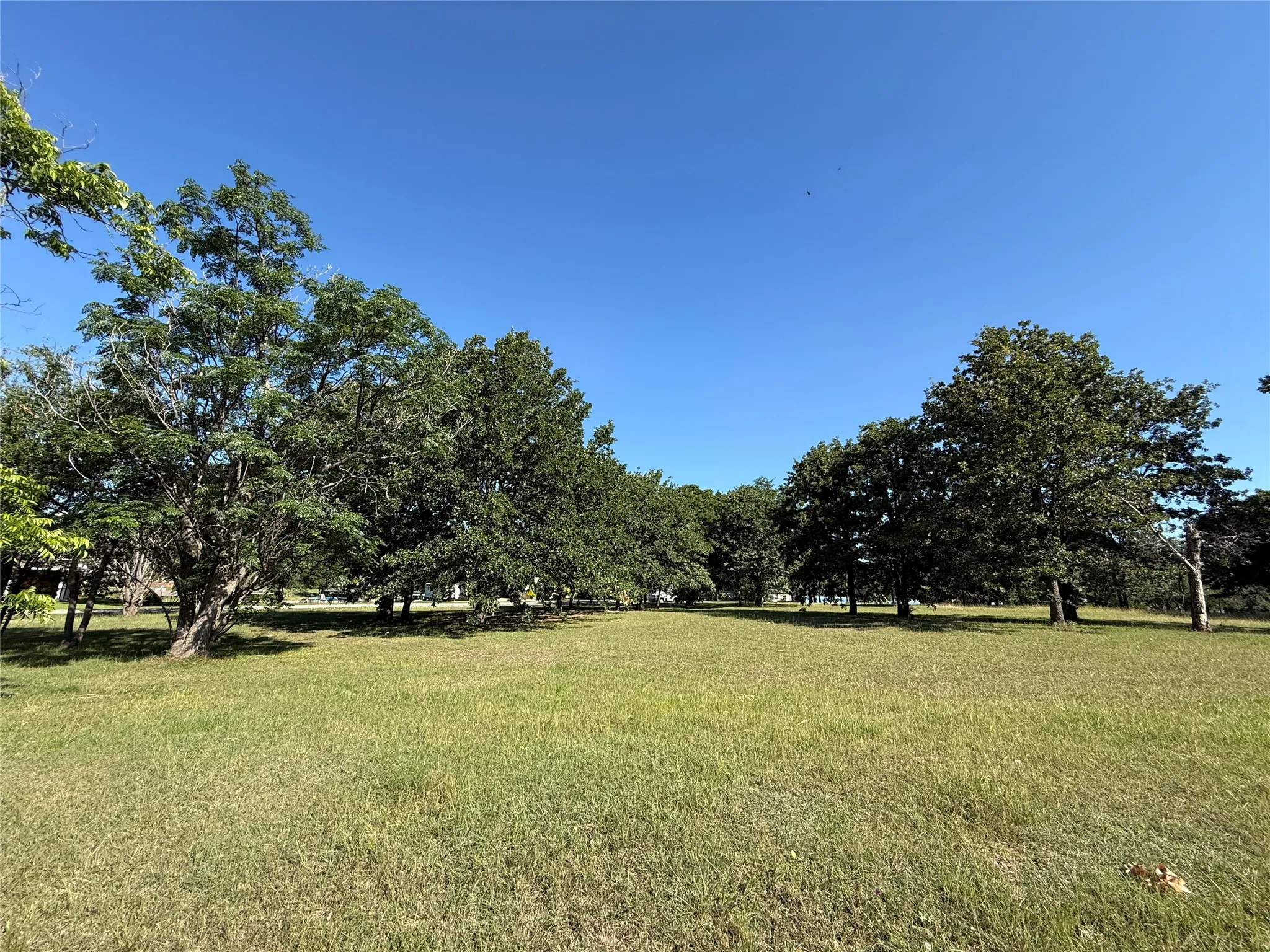 Unimproved Land For Sale in Navarro County , Lot 1 SE County Road 3186, Corsicana, Texas 75109, 0, 0, Garage spaces, 0 Sqft, built in 0, Price $49,900, mls#21267509, Real Estate Agent in Corsicana, Homes For Sale in Navarro county, Homes For Sale in Corsicana, Realtor in Corsicana Texas, Real Estate Brokerage Independent Realty Texas, Luminita Cordes Realtor