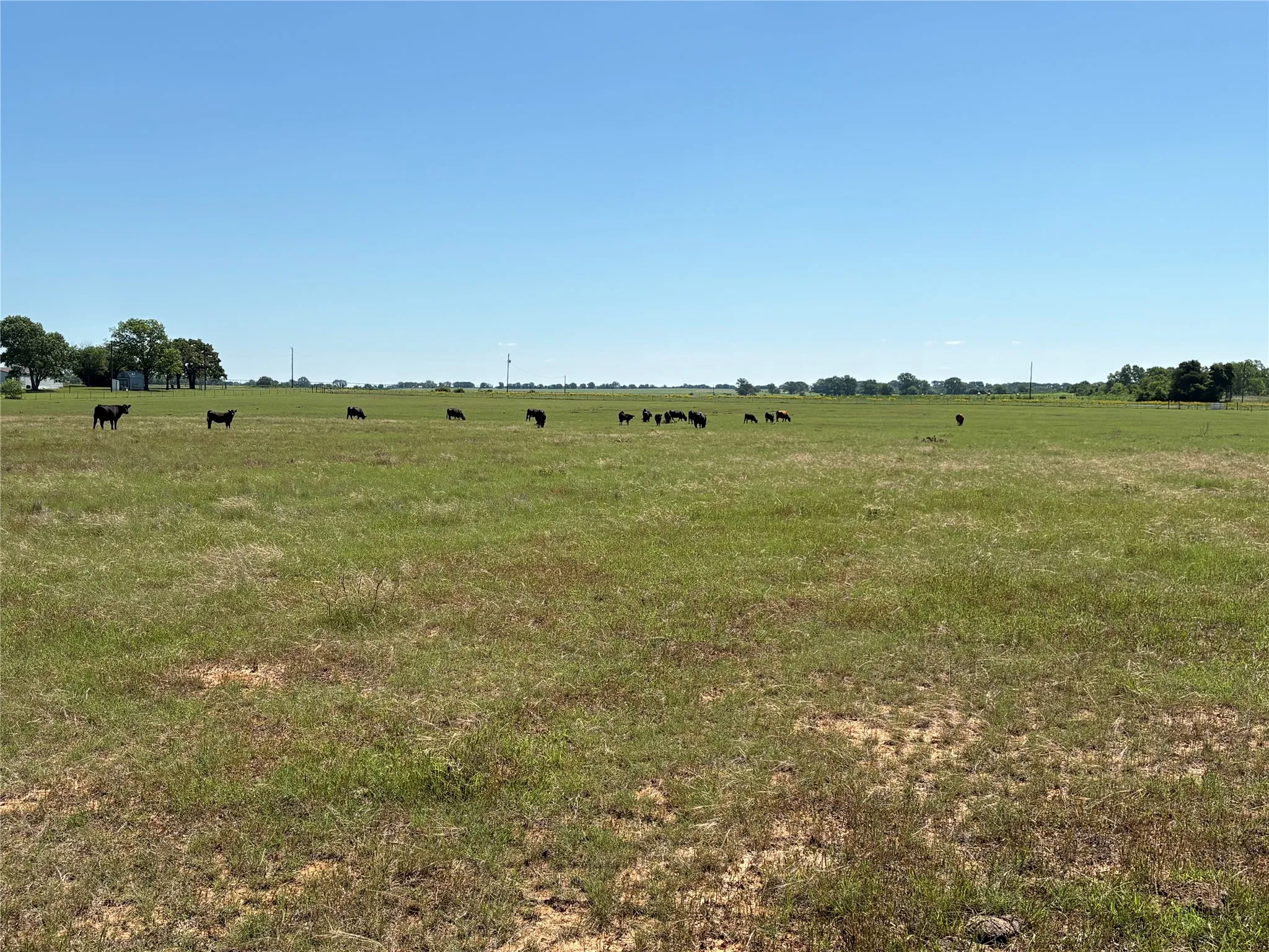 Ranch For Sale in Comanche County , 2966 Highway 679, Gorman, Texas 76454, 0, 0, Garage spaces, 0 Sqft, built in 0, Price $659,556, mls#21267989, Real Estate Agent in Gorman, Homes For Sale in Comanche county, Homes For Sale in Gorman, Realtor in Gorman Texas, Real Estate Brokerage Independent Realty Texas, Luminita Cordes Realtor