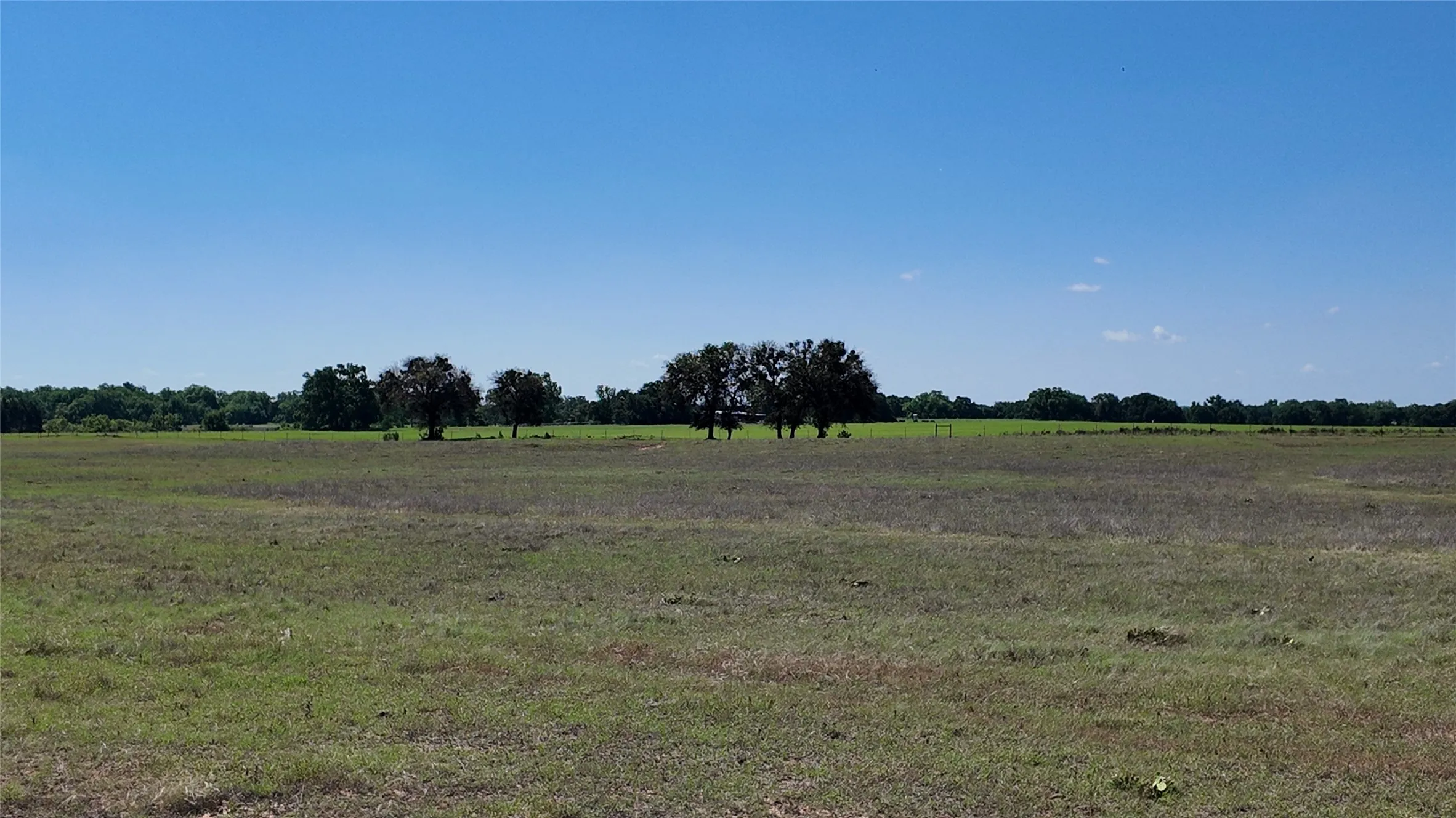 Ranch For Sale in Comanche County , 2966 Highway 679, Gorman, Texas 76454, 0, 0, Garage spaces, 0 Sqft, built in 0, Price $659,556, mls#21267989, Real Estate Agent in Gorman, Homes For Sale in Comanche county, Homes For Sale in Gorman, Realtor in Gorman Texas, Real Estate Brokerage Independent Realty Texas, Luminita Cordes Realtor