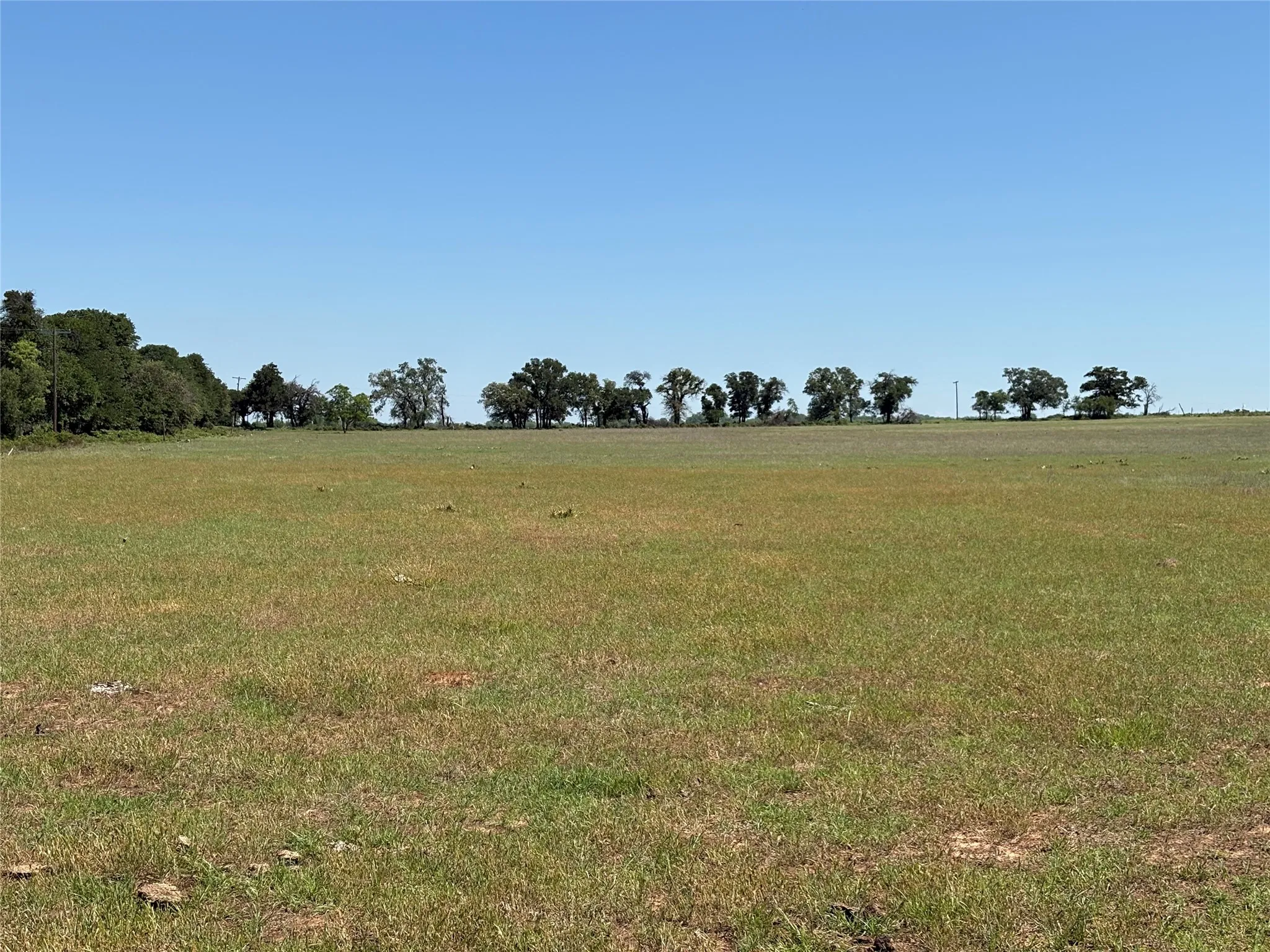 Ranch For Sale in Comanche County , 2966 Highway 679, Gorman, Texas 76454, 0, 0, Garage spaces, 0 Sqft, built in 0, Price $659,556, mls#21267989, Real Estate Agent in Gorman, Homes For Sale in Comanche county, Homes For Sale in Gorman, Realtor in Gorman Texas, Real Estate Brokerage Independent Realty Texas, Luminita Cordes Realtor