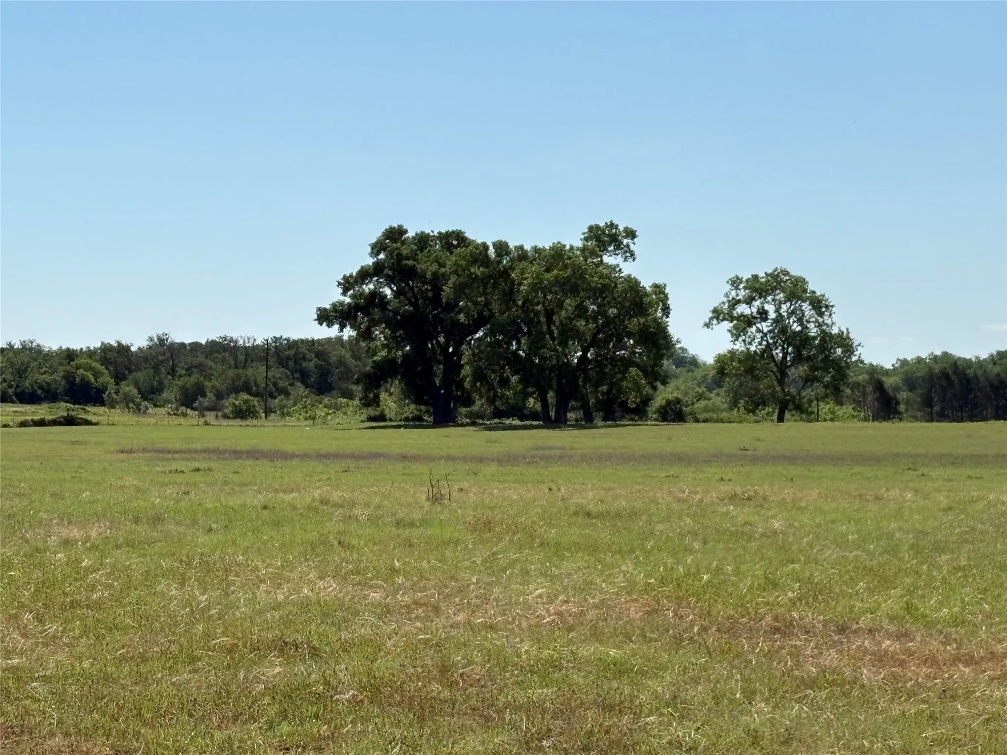 Ranch For Sale in Comanche County , 2966 Highway 679, Gorman, Texas 76454, 0, 0, Garage spaces, 0 Sqft, built in 0, Price $659,556, mls#21267989, Real Estate Agent in Gorman, Homes For Sale in Comanche county, Homes For Sale in Gorman, Realtor in Gorman Texas, Real Estate Brokerage Independent Realty Texas, Luminita Cordes Realtor