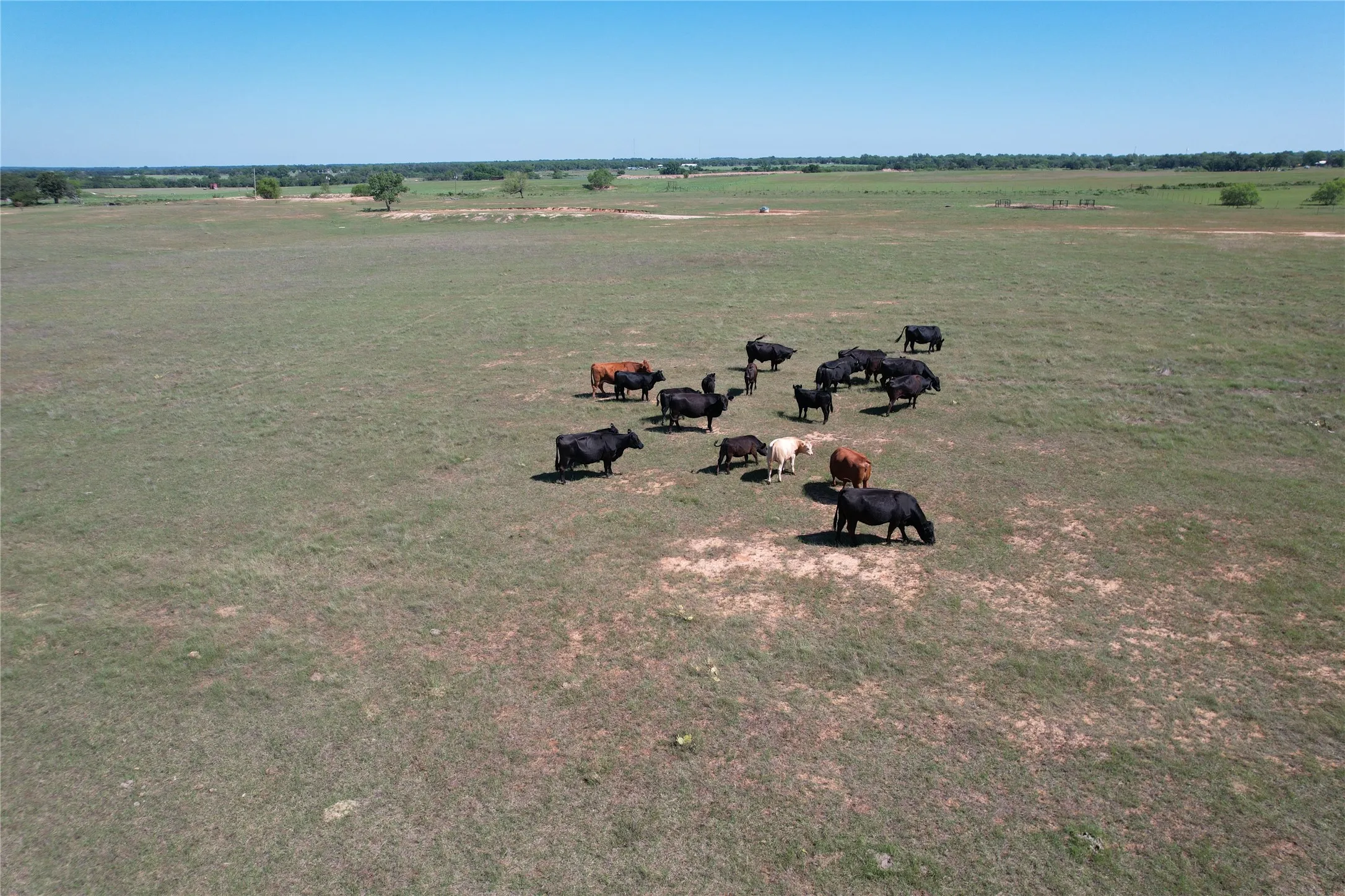Ranch For Sale in Comanche County , 2966 Highway 679, Gorman, Texas 76454, 0, 0, Garage spaces, 0 Sqft, built in 0, Price $659,556, mls#21267989, Real Estate Agent in Gorman, Homes For Sale in Comanche county, Homes For Sale in Gorman, Realtor in Gorman Texas, Real Estate Brokerage Independent Realty Texas, Luminita Cordes Realtor