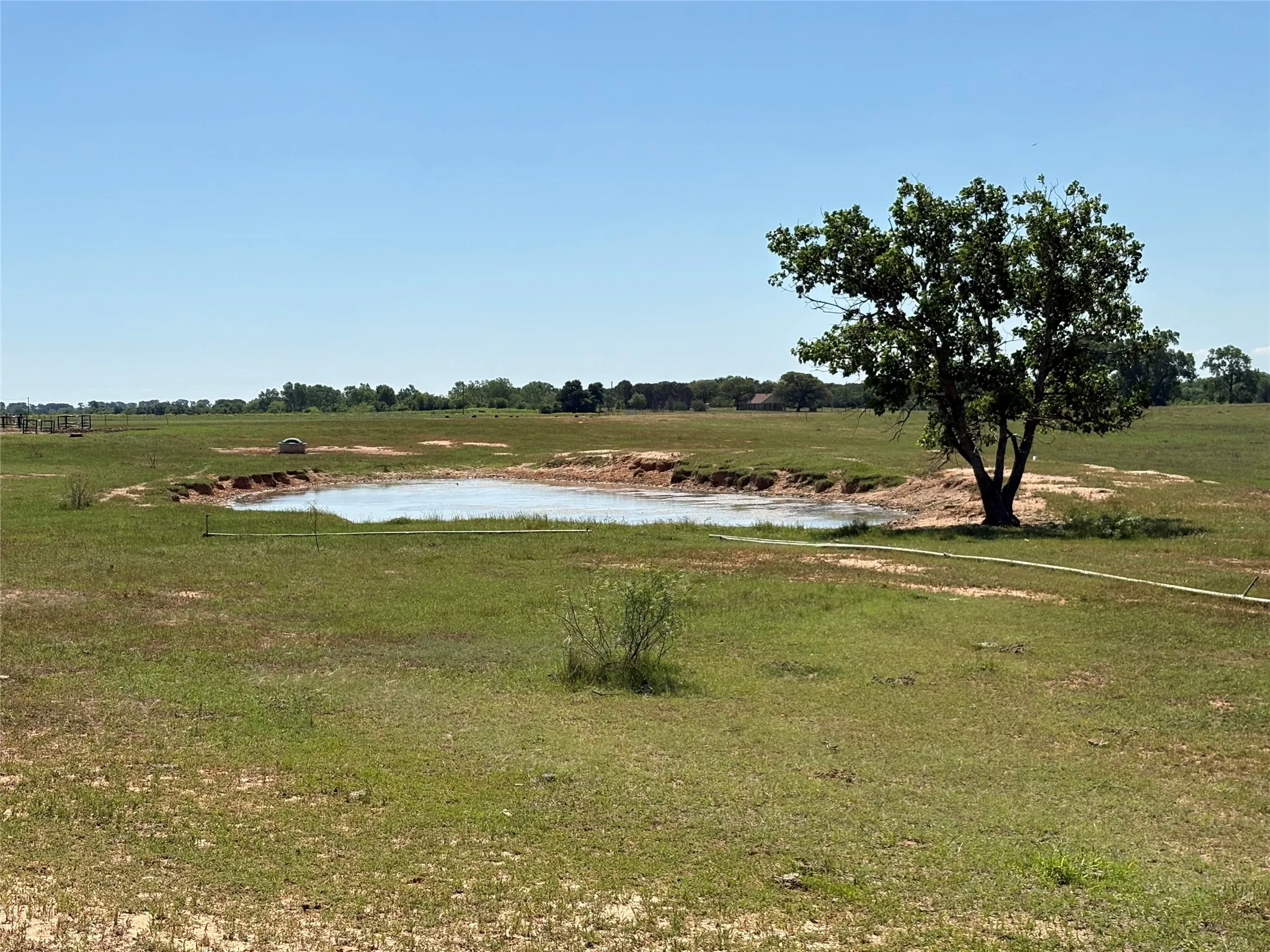Ranch For Sale in Comanche County , 2966 Highway 679, Gorman, Texas 76454, 0, 0, Garage spaces, 0 Sqft, built in 0, Price $659,556, mls#21267989, Real Estate Agent in Gorman, Homes For Sale in Comanche county, Homes For Sale in Gorman, Realtor in Gorman Texas, Real Estate Brokerage Independent Realty Texas, Luminita Cordes Realtor