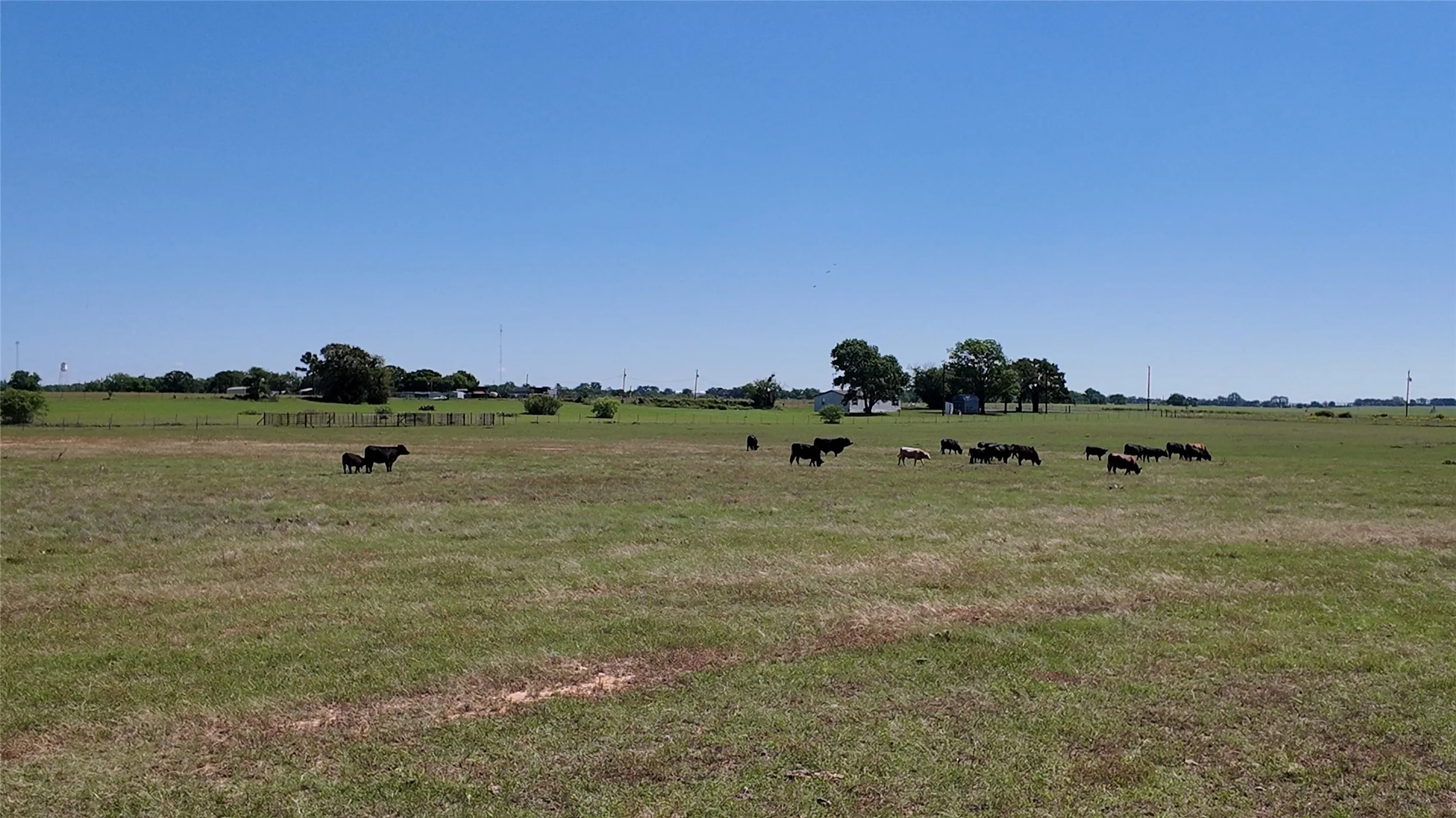Ranch For Sale in Comanche County , 2966 Highway 679, Gorman, Texas 76454, 0, 0, Garage spaces, 0 Sqft, built in 0, Price $659,556, mls#21267989, Real Estate Agent in Gorman, Homes For Sale in Comanche county, Homes For Sale in Gorman, Realtor in Gorman Texas, Real Estate Brokerage Independent Realty Texas, Luminita Cordes Realtor