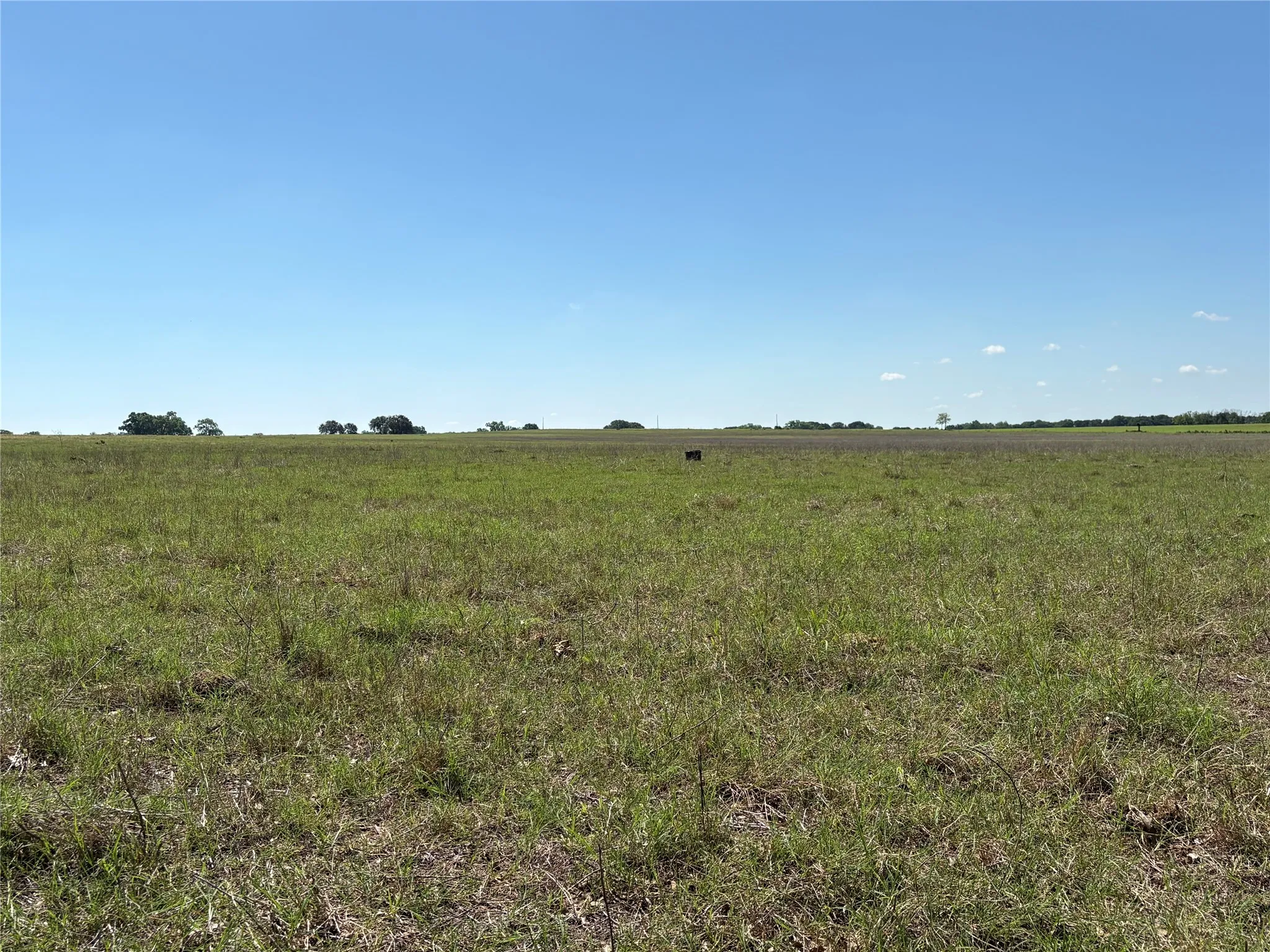 Ranch For Sale in Comanche County , 2966 Highway 679, Gorman, Texas 76454, 0, 0, Garage spaces, 0 Sqft, built in 0, Price $659,556, mls#21267989, Real Estate Agent in Gorman, Homes For Sale in Comanche county, Homes For Sale in Gorman, Realtor in Gorman Texas, Real Estate Brokerage Independent Realty Texas, Luminita Cordes Realtor