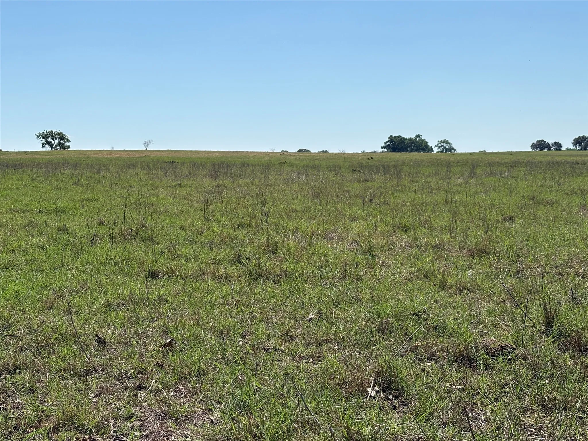 Ranch For Sale in Comanche County , 2966 Highway 679, Gorman, Texas 76454, 0, 0, Garage spaces, 0 Sqft, built in 0, Price $659,556, mls#21267989, Real Estate Agent in Gorman, Homes For Sale in Comanche county, Homes For Sale in Gorman, Realtor in Gorman Texas, Real Estate Brokerage Independent Realty Texas, Luminita Cordes Realtor