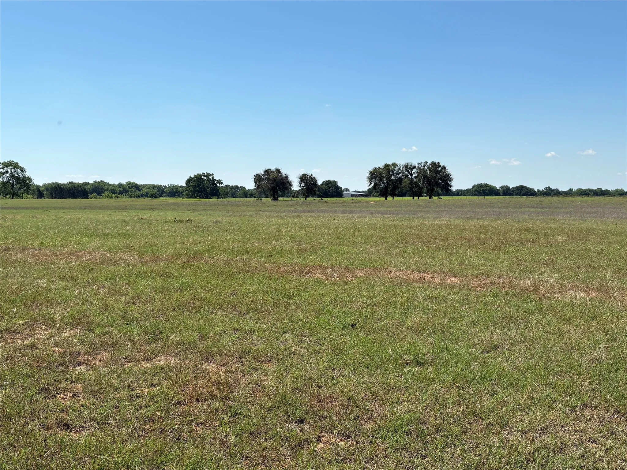 Ranch For Sale in Comanche County , 2966 Highway 679, Gorman, Texas 76454, 0, 0, Garage spaces, 0 Sqft, built in 0, Price $659,556, mls#21267989, Real Estate Agent in Gorman, Homes For Sale in Comanche county, Homes For Sale in Gorman, Realtor in Gorman Texas, Real Estate Brokerage Independent Realty Texas, Luminita Cordes Realtor