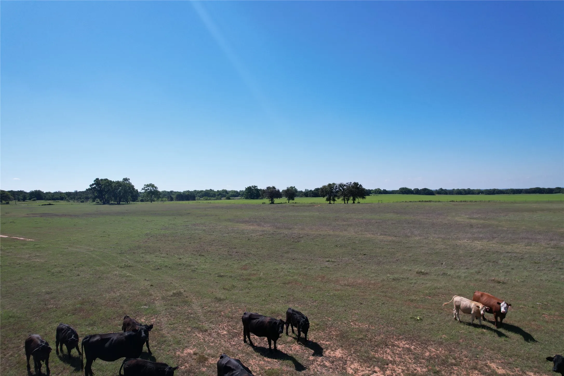 Ranch For Sale in Comanche County , 2966 Highway 679, Gorman, Texas 76454, 0, 0, Garage spaces, 0 Sqft, built in 0, Price $659,556, mls#21267989, Real Estate Agent in Gorman, Homes For Sale in Comanche county, Homes For Sale in Gorman, Realtor in Gorman Texas, Real Estate Brokerage Independent Realty Texas, Luminita Cordes Realtor