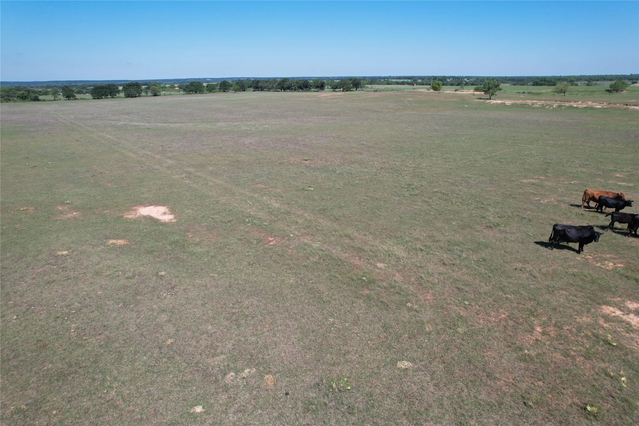 Ranch For Sale in Comanche County , 2966 Highway 679, Gorman, Texas 76454, 0, 0, Garage spaces, 0 Sqft, built in 0, Price $659,556, mls#21267989, Real Estate Agent in Gorman, Homes For Sale in Comanche county, Homes For Sale in Gorman, Realtor in Gorman Texas, Real Estate Brokerage Independent Realty Texas, Luminita Cordes Realtor