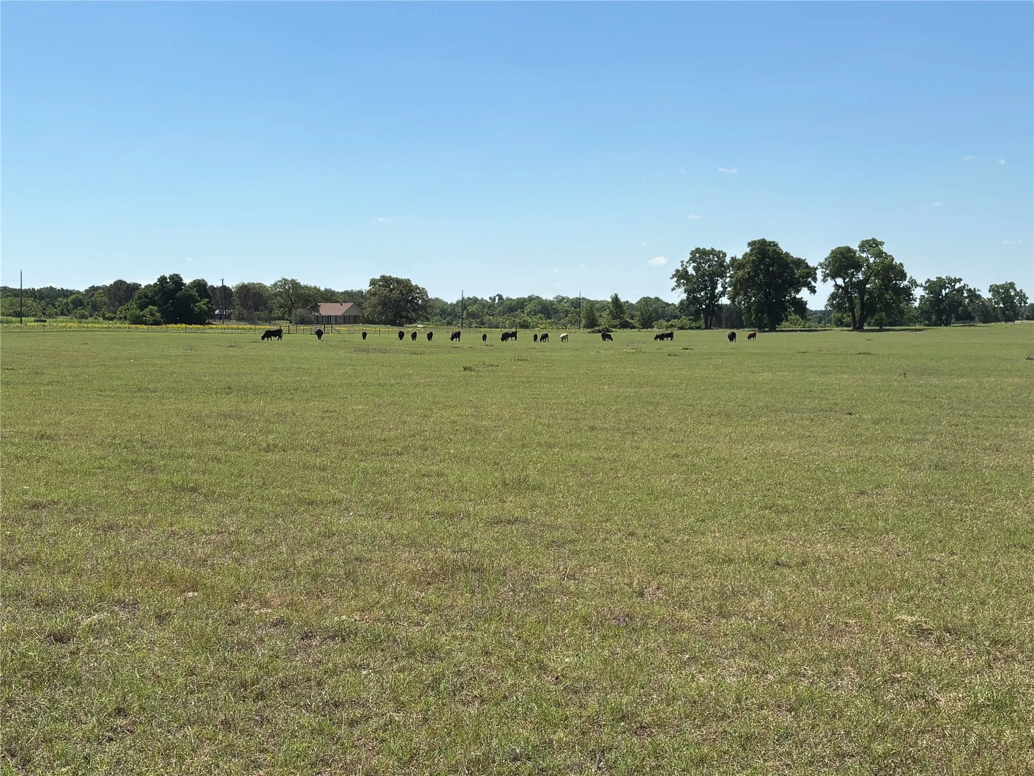 Ranch For Sale in Comanche County , 2966 Highway 679, Gorman, Texas 76454, 0, 0, Garage spaces, 0 Sqft, built in 0, Price $659,556, mls#21267989, Real Estate Agent in Gorman, Homes For Sale in Comanche county, Homes For Sale in Gorman, Realtor in Gorman Texas, Real Estate Brokerage Independent Realty Texas, Luminita Cordes Realtor