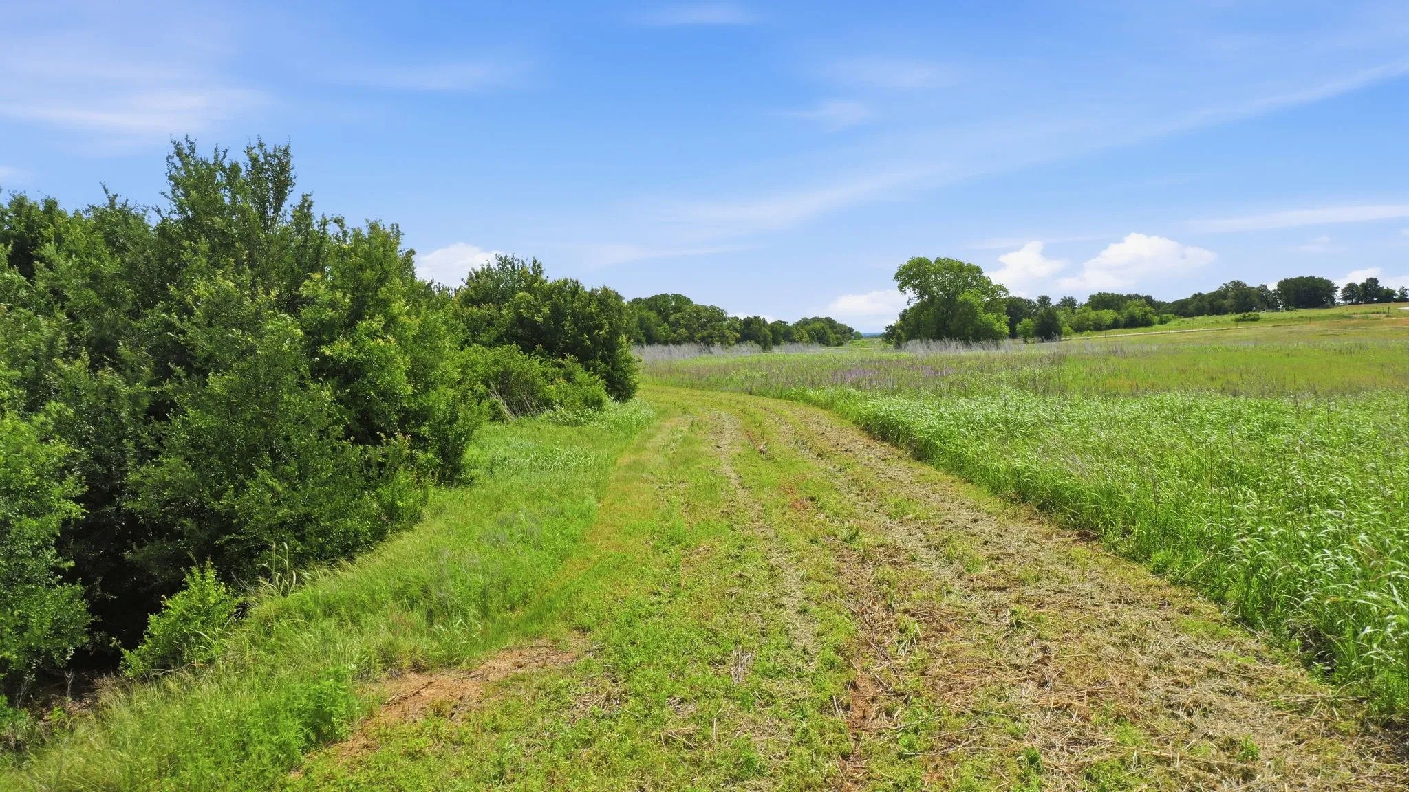 Ranch For Sale in Comanche County , TBD Cr 495, De Leon, Texas 76444, 0, 0, Garage spaces, 0 Sqft, built in 0, Price $1,168,026, mls#21267948, Real Estate Agent in De Leon, Homes For Sale in Comanche county, Homes For Sale in De Leon, Realtor in De Leon Texas, Real Estate Brokerage Independent Realty Texas, Luminita Cordes Realtor