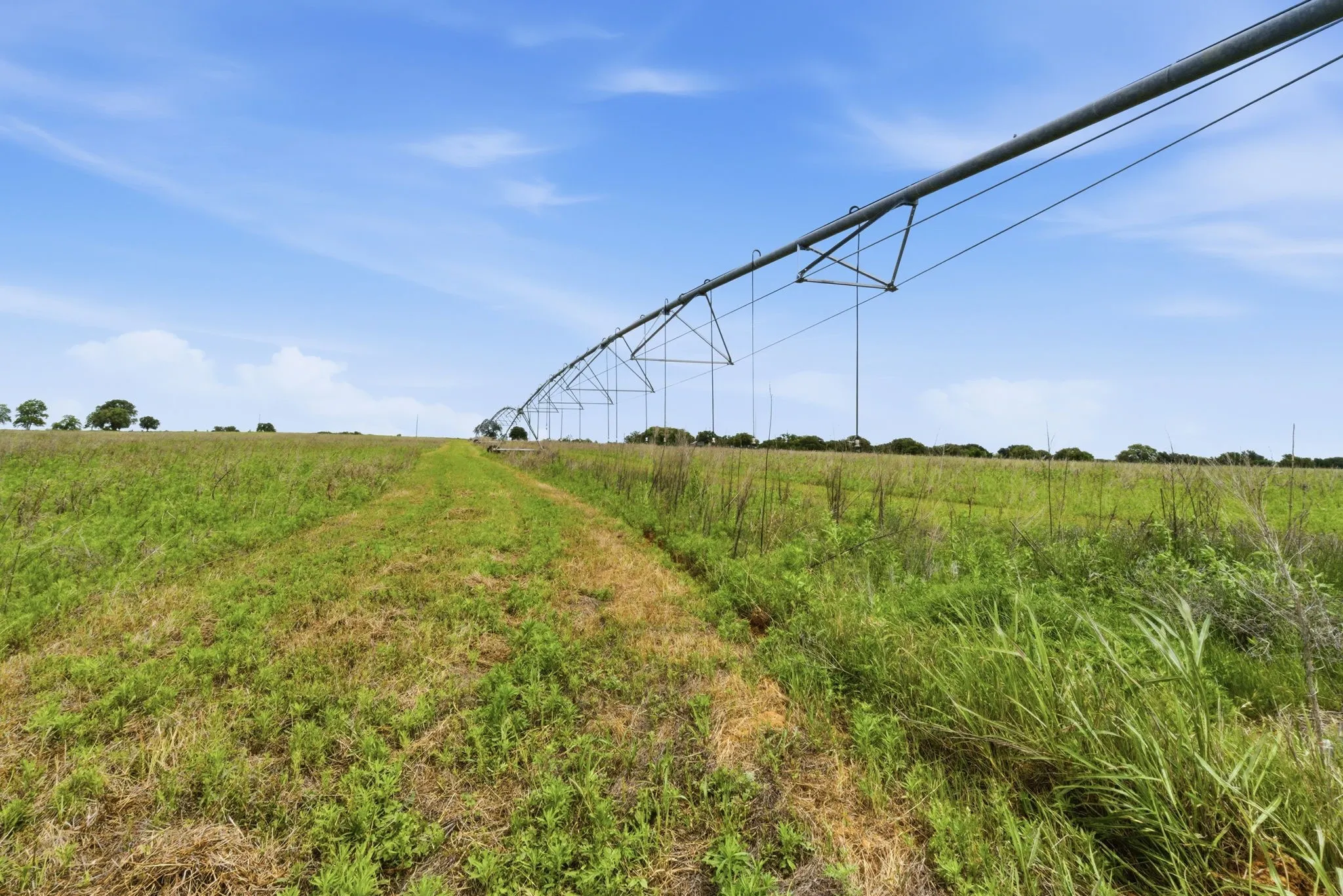 Ranch For Sale in Comanche County , TBD Cr 495, De Leon, Texas 76444, 0, 0, Garage spaces, 0 Sqft, built in 0, Price $1,168,026, mls#21267948, Real Estate Agent in De Leon, Homes For Sale in Comanche county, Homes For Sale in De Leon, Realtor in De Leon Texas, Real Estate Brokerage Independent Realty Texas, Luminita Cordes Realtor