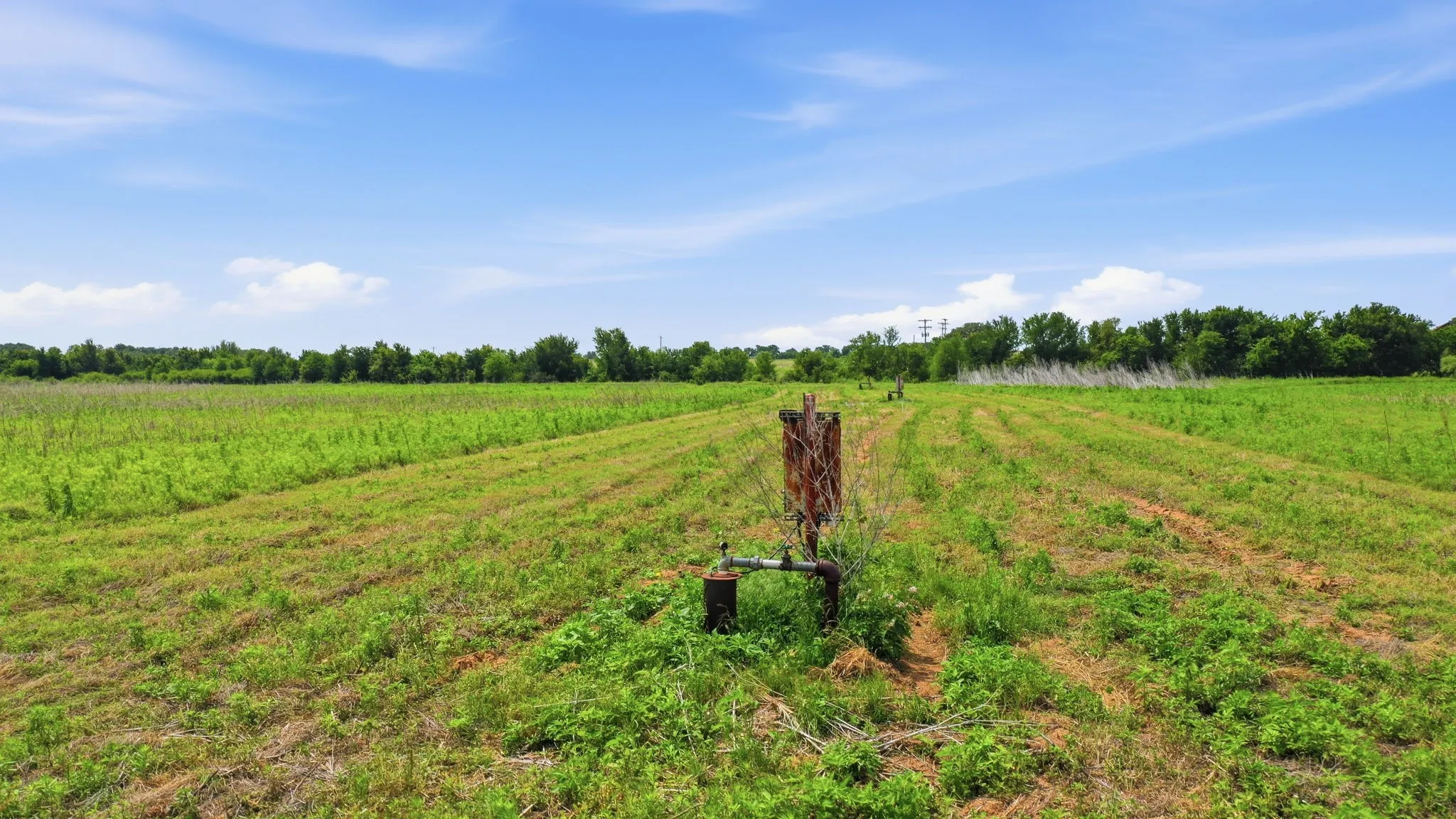 Ranch For Sale in Comanche County , TBD Cr 495, De Leon, Texas 76444, 0, 0, Garage spaces, 0 Sqft, built in 0, Price $1,168,026, mls#21267948, Real Estate Agent in De Leon, Homes For Sale in Comanche county, Homes For Sale in De Leon, Realtor in De Leon Texas, Real Estate Brokerage Independent Realty Texas, Luminita Cordes Realtor