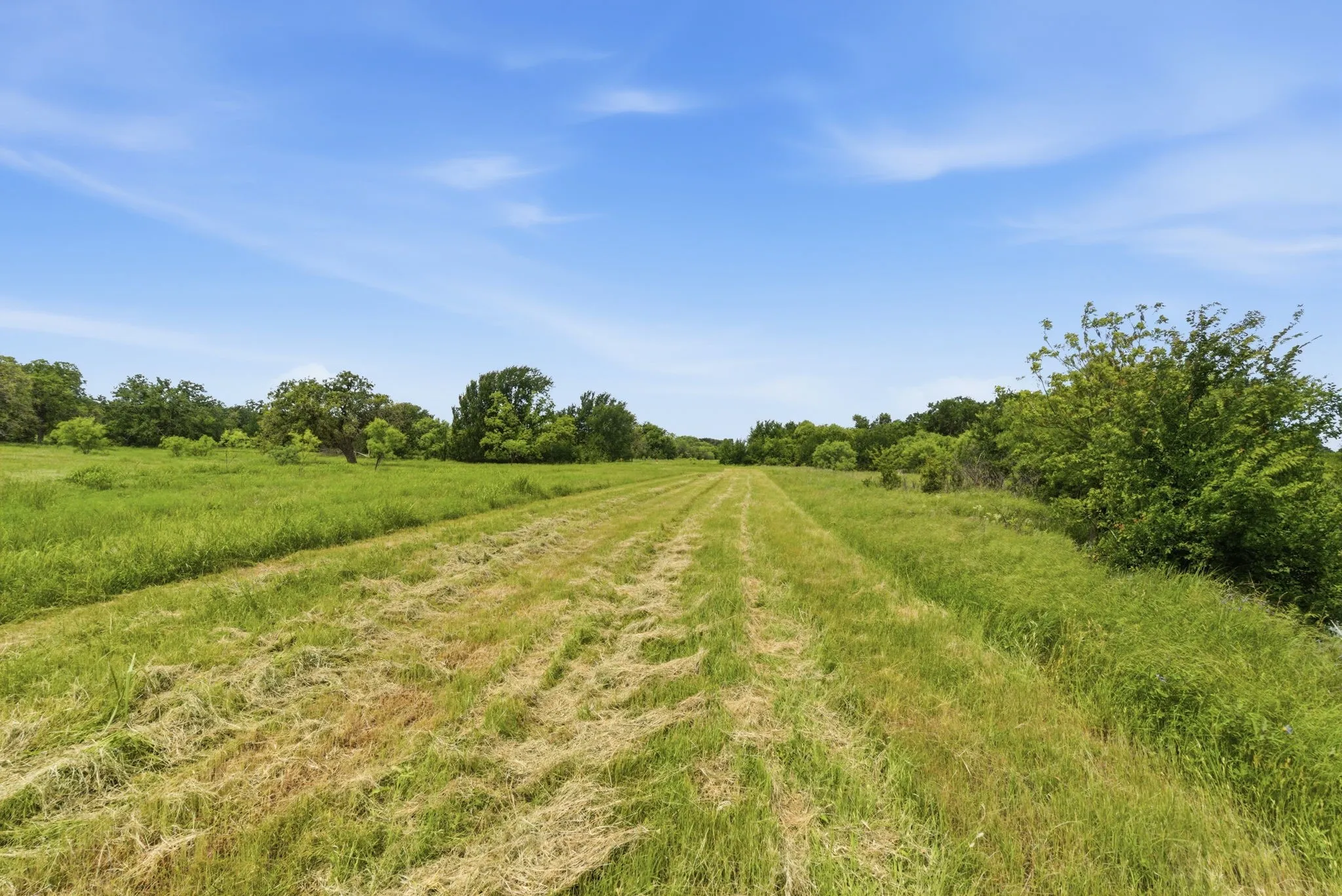 Ranch For Sale in Comanche County , TBD Cr 495, De Leon, Texas 76444, 0, 0, Garage spaces, 0 Sqft, built in 0, Price $1,168,026, mls#21267948, Real Estate Agent in De Leon, Homes For Sale in Comanche county, Homes For Sale in De Leon, Realtor in De Leon Texas, Real Estate Brokerage Independent Realty Texas, Luminita Cordes Realtor