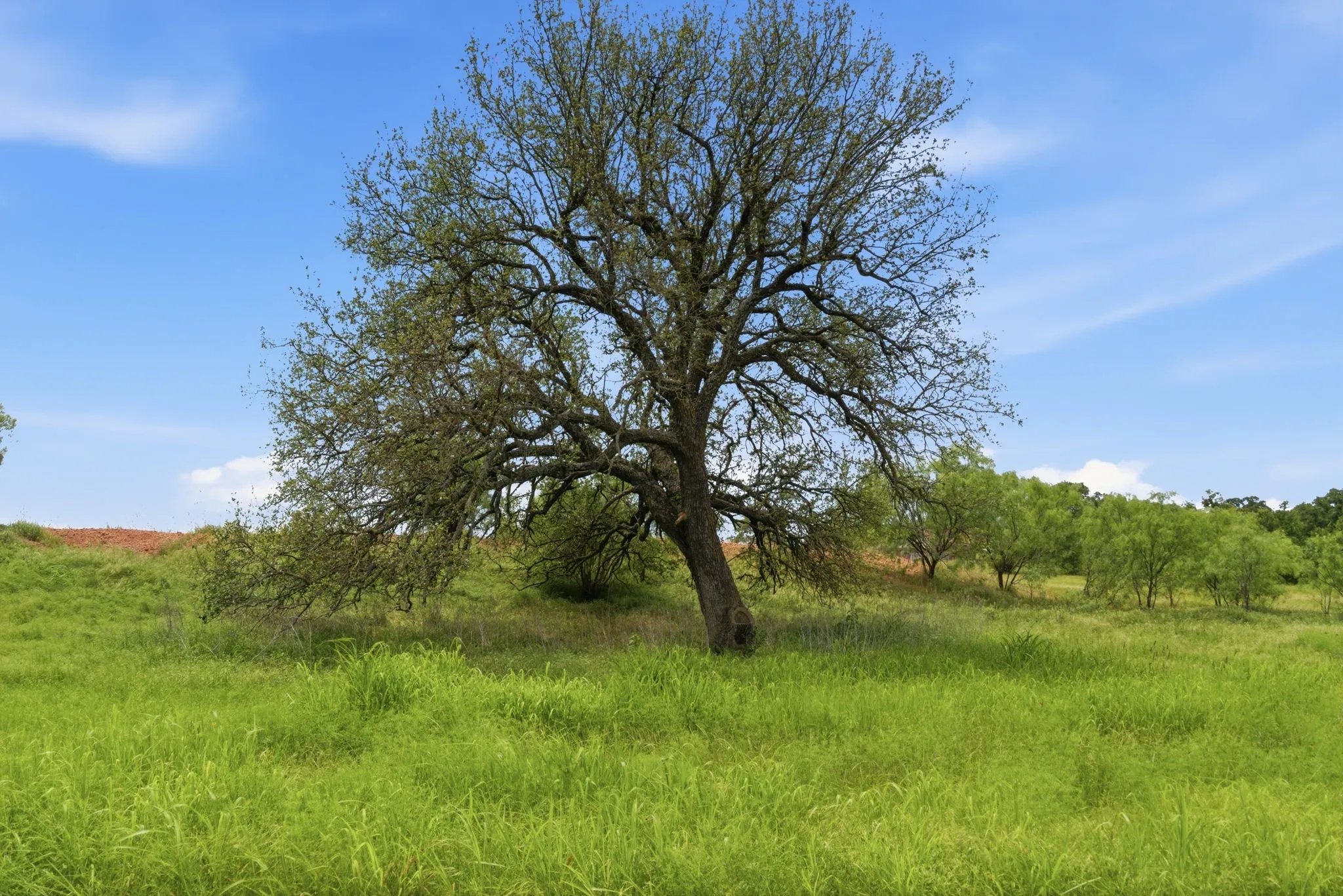 Ranch For Sale in Comanche County , TBD Cr 495, De Leon, Texas 76444, 0, 0, Garage spaces, 0 Sqft, built in 0, Price $1,168,026, mls#21267948, Real Estate Agent in De Leon, Homes For Sale in Comanche county, Homes For Sale in De Leon, Realtor in De Leon Texas, Real Estate Brokerage Independent Realty Texas, Luminita Cordes Realtor