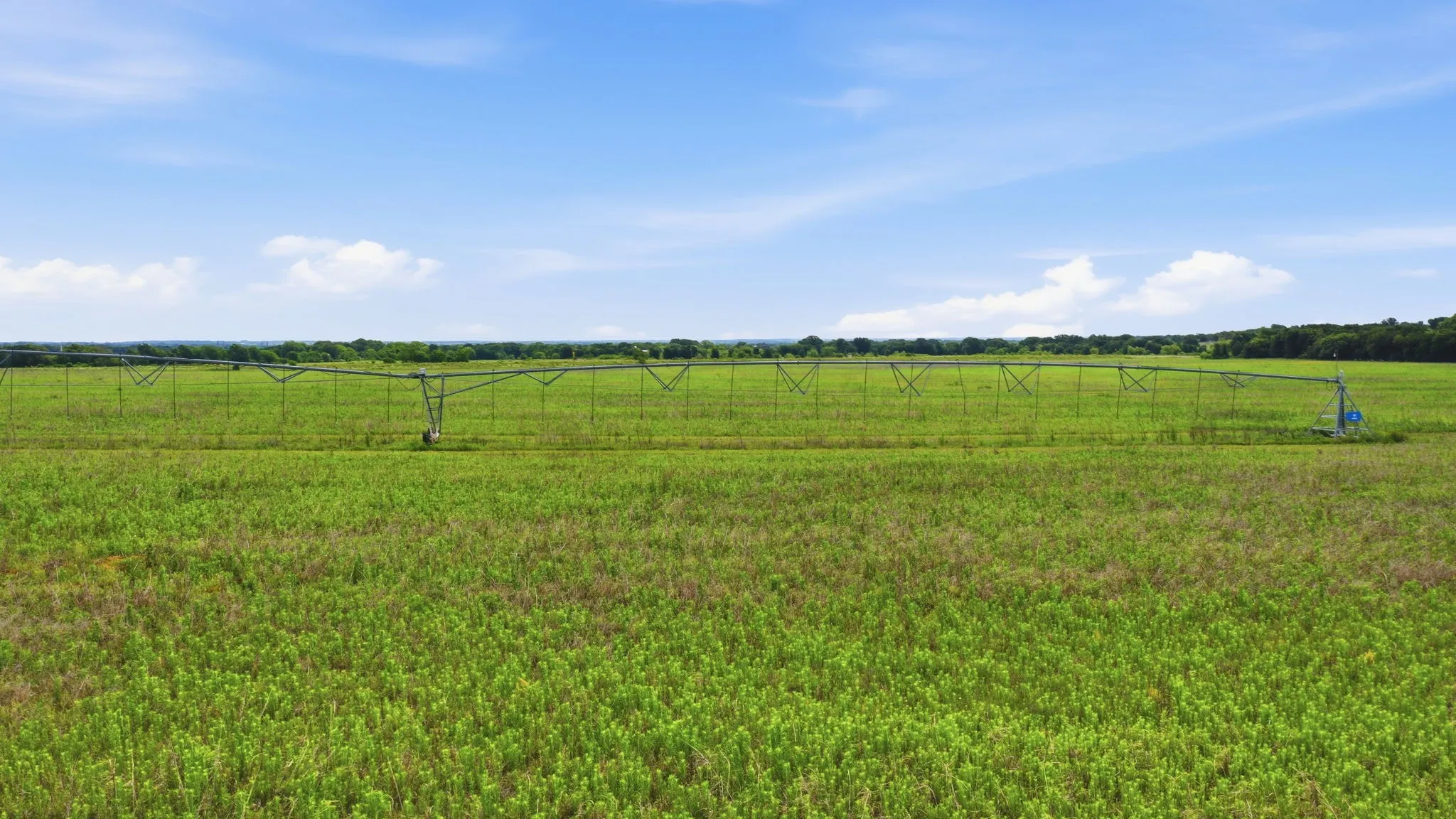 Ranch For Sale in Comanche County , TBD Cr 495, De Leon, Texas 76444, 0, 0, Garage spaces, 0 Sqft, built in 0, Price $1,168,026, mls#21267948, Real Estate Agent in De Leon, Homes For Sale in Comanche county, Homes For Sale in De Leon, Realtor in De Leon Texas, Real Estate Brokerage Independent Realty Texas, Luminita Cordes Realtor