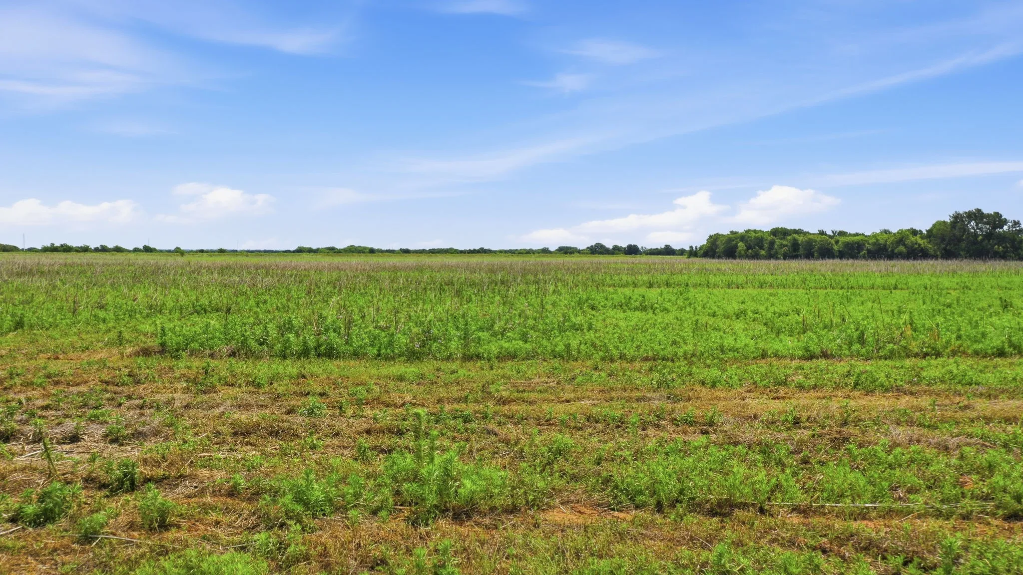 Ranch For Sale in Comanche County , TBD Cr 495, De Leon, Texas 76444, 0, 0, Garage spaces, 0 Sqft, built in 0, Price $1,168,026, mls#21267948, Real Estate Agent in De Leon, Homes For Sale in Comanche county, Homes For Sale in De Leon, Realtor in De Leon Texas, Real Estate Brokerage Independent Realty Texas, Luminita Cordes Realtor