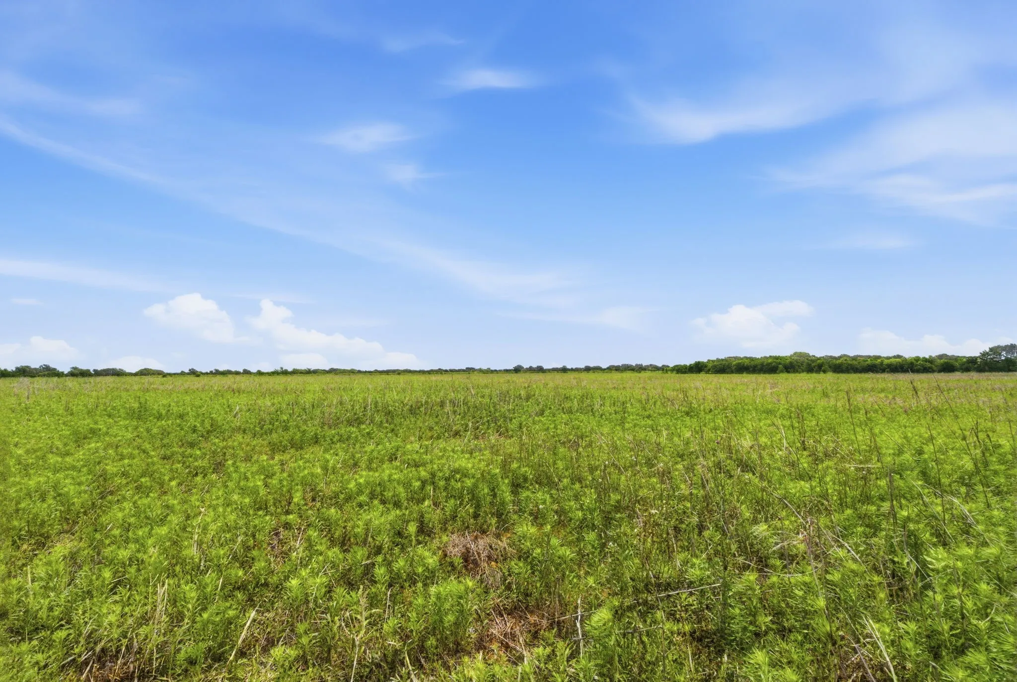 Ranch For Sale in Comanche County , TBD Cr 495, De Leon, Texas 76444, 0, 0, Garage spaces, 0 Sqft, built in 0, Price $1,168,026, mls#21267948, Real Estate Agent in De Leon, Homes For Sale in Comanche county, Homes For Sale in De Leon, Realtor in De Leon Texas, Real Estate Brokerage Independent Realty Texas, Luminita Cordes Realtor