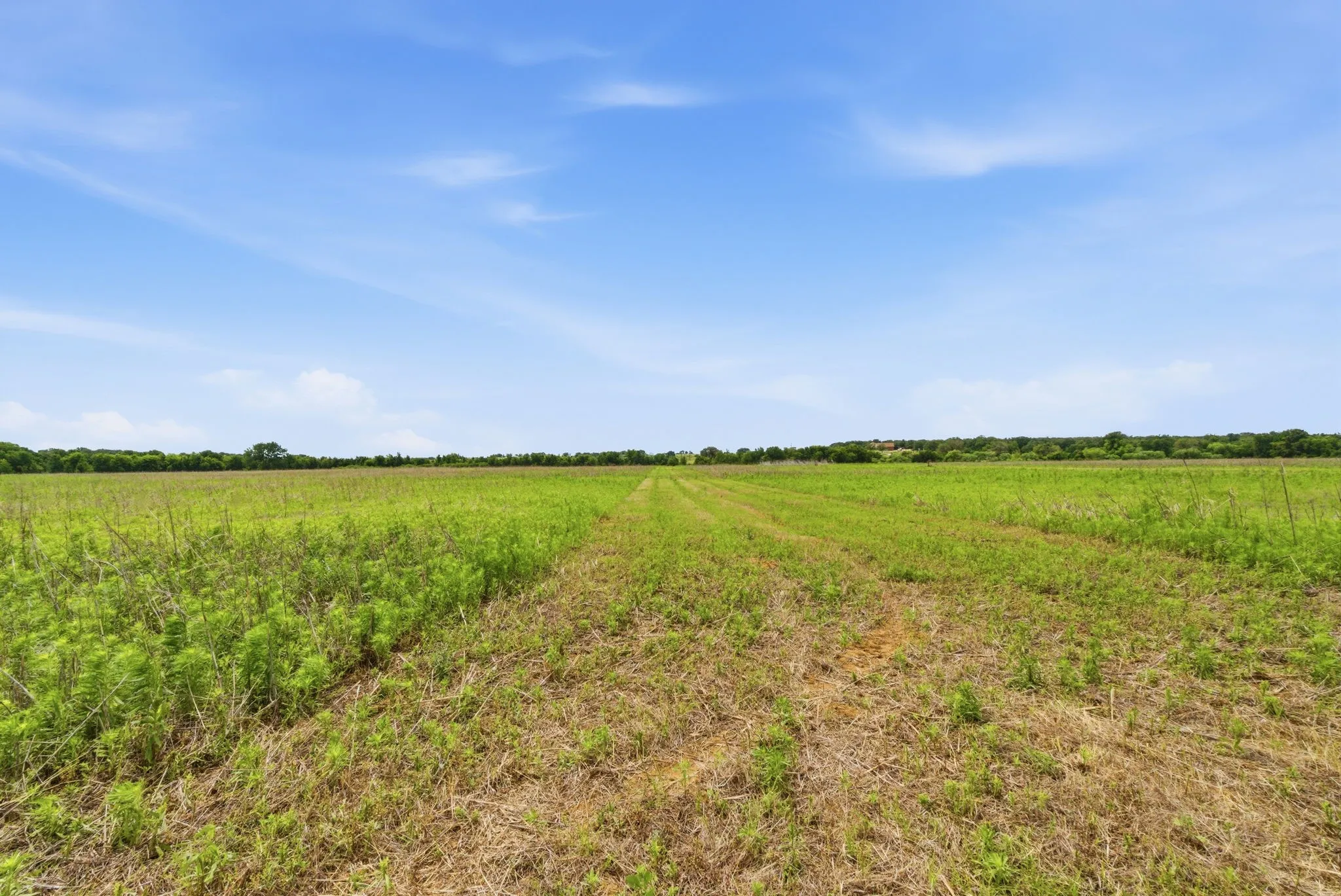 Ranch For Sale in Comanche County , TBD Cr 495, De Leon, Texas 76444, 0, 0, Garage spaces, 0 Sqft, built in 0, Price $1,168,026, mls#21267948, Real Estate Agent in De Leon, Homes For Sale in Comanche county, Homes For Sale in De Leon, Realtor in De Leon Texas, Real Estate Brokerage Independent Realty Texas, Luminita Cordes Realtor