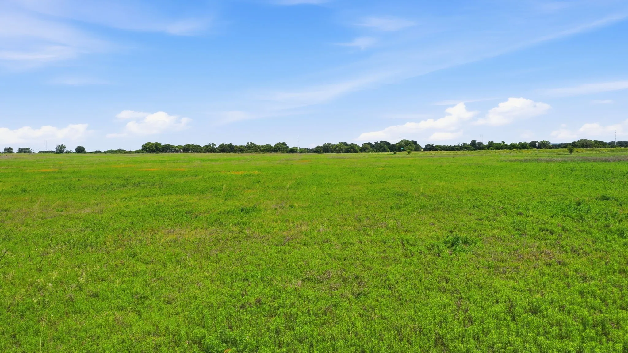 Ranch For Sale in Comanche County , TBD Cr 495, De Leon, Texas 76444, 0, 0, Garage spaces, 0 Sqft, built in 0, Price $1,168,026, mls#21267948, Real Estate Agent in De Leon, Homes For Sale in Comanche county, Homes For Sale in De Leon, Realtor in De Leon Texas, Real Estate Brokerage Independent Realty Texas, Luminita Cordes Realtor