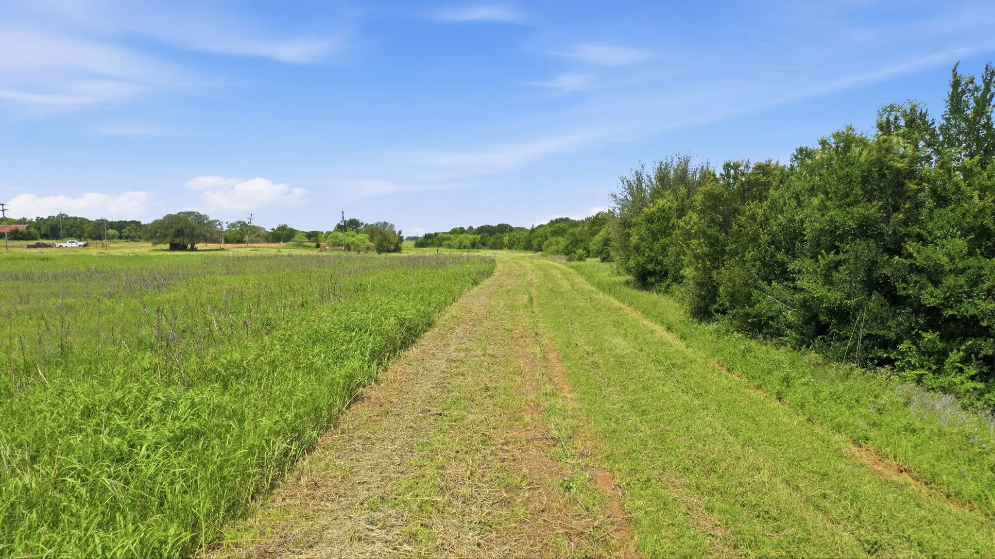 Ranch For Sale in Comanche County , TBD Cr 495, De Leon, Texas 76444, 0, 0, Garage spaces, 0 Sqft, built in 0, Price $1,168,026, mls#21267948, Real Estate Agent in De Leon, Homes For Sale in Comanche county, Homes For Sale in De Leon, Realtor in De Leon Texas, Real Estate Brokerage Independent Realty Texas, Luminita Cordes Realtor