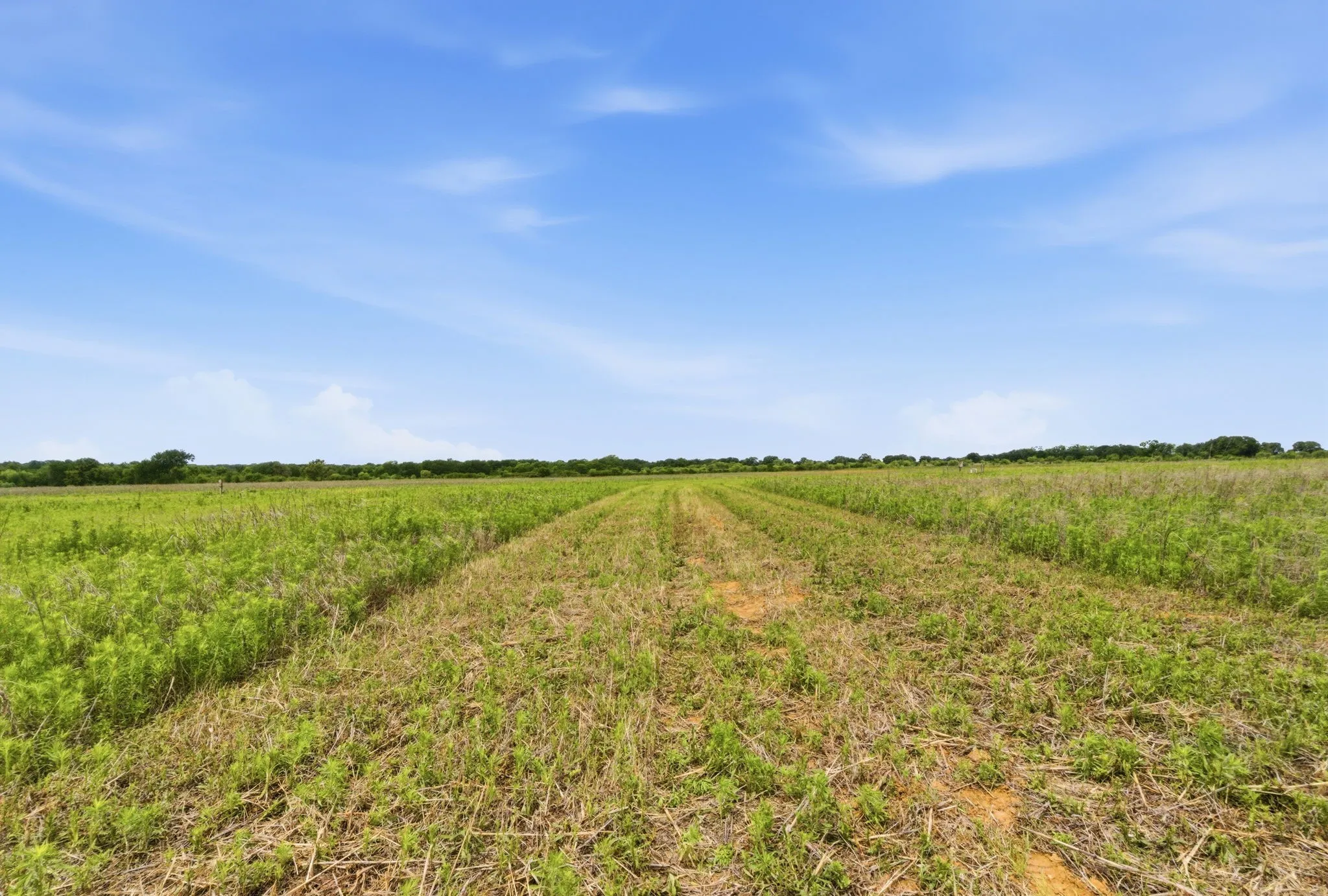 Ranch For Sale in Comanche County , TBD Cr 495, De Leon, Texas 76444, 0, 0, Garage spaces, 0 Sqft, built in 0, Price $1,168,026, mls#21267948, Real Estate Agent in De Leon, Homes For Sale in Comanche county, Homes For Sale in De Leon, Realtor in De Leon Texas, Real Estate Brokerage Independent Realty Texas, Luminita Cordes Realtor