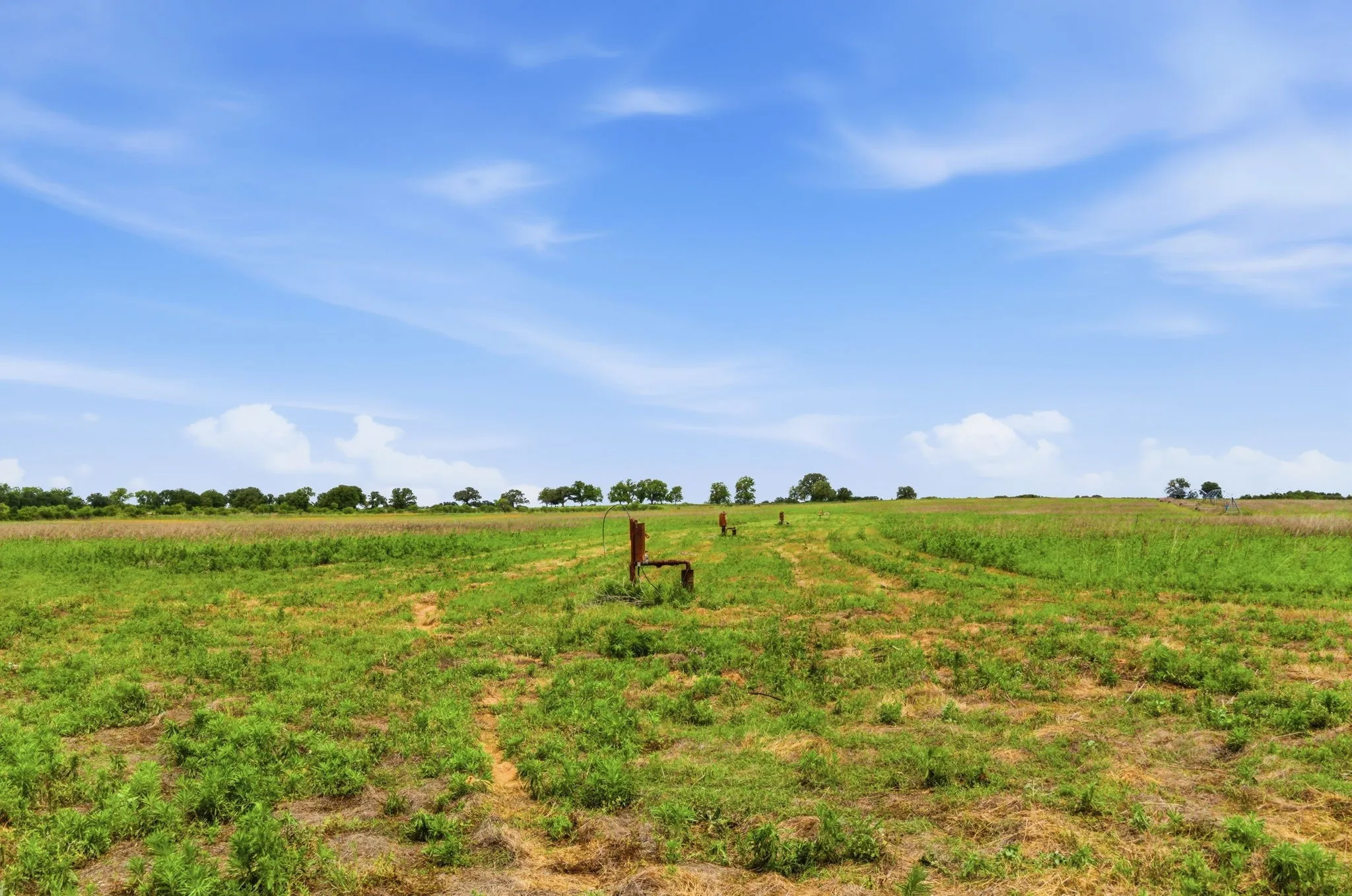 Ranch For Sale in Comanche County , TBD Cr 495, De Leon, Texas 76444, 0, 0, Garage spaces, 0 Sqft, built in 0, Price $1,168,026, mls#21267948, Real Estate Agent in De Leon, Homes For Sale in Comanche county, Homes For Sale in De Leon, Realtor in De Leon Texas, Real Estate Brokerage Independent Realty Texas, Luminita Cordes Realtor