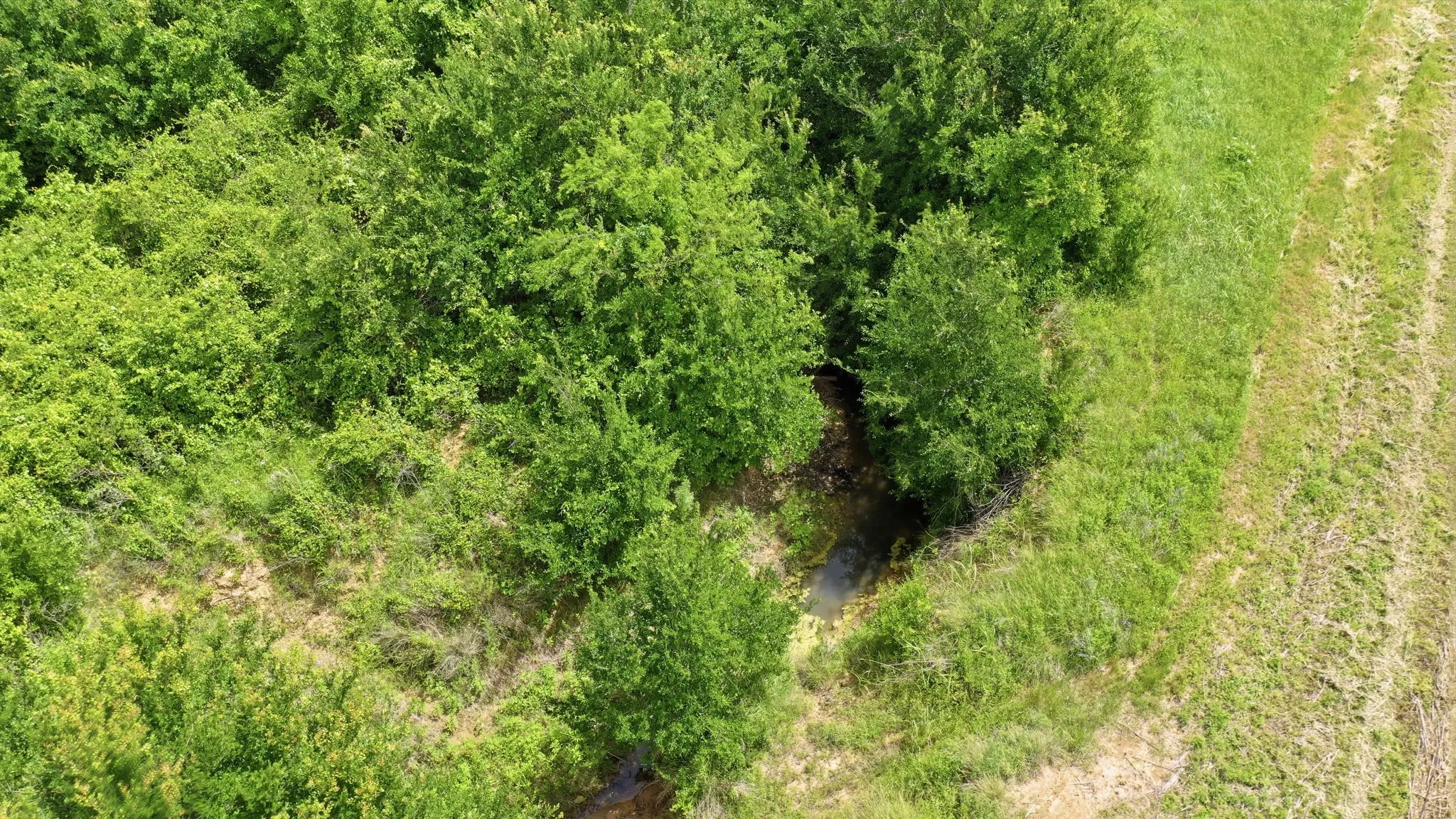 Ranch For Sale in Comanche County , TBD Cr 495, De Leon, Texas 76444, 0, 0, Garage spaces, 0 Sqft, built in 0, Price $1,168,026, mls#21267948, Real Estate Agent in De Leon, Homes For Sale in Comanche county, Homes For Sale in De Leon, Realtor in De Leon Texas, Real Estate Brokerage Independent Realty Texas, Luminita Cordes Realtor