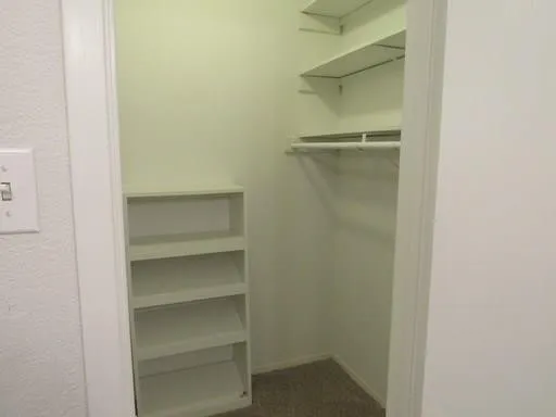 Walk in closet with dark carpet