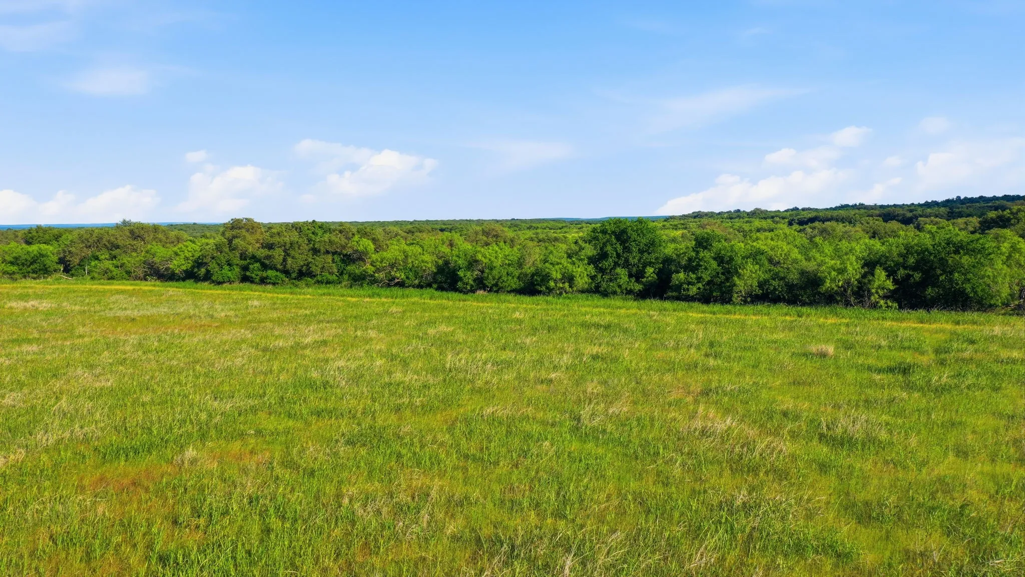 Unimproved Land For Sale in Coleman County , 1343 County Road 188, Cross Plains, Texas 76443, 0, 0, Garage spaces, 0 Sqft, built in 0, mls#21267769, Real Estate Agent in Cross Plains, Homes For Sale in Coleman county, Homes For Sale in Cross Plains, Realtor in Cross Plains Texas, Real Estate Brokerage Independent Realty Texas, Luminita Cordes Realtor
