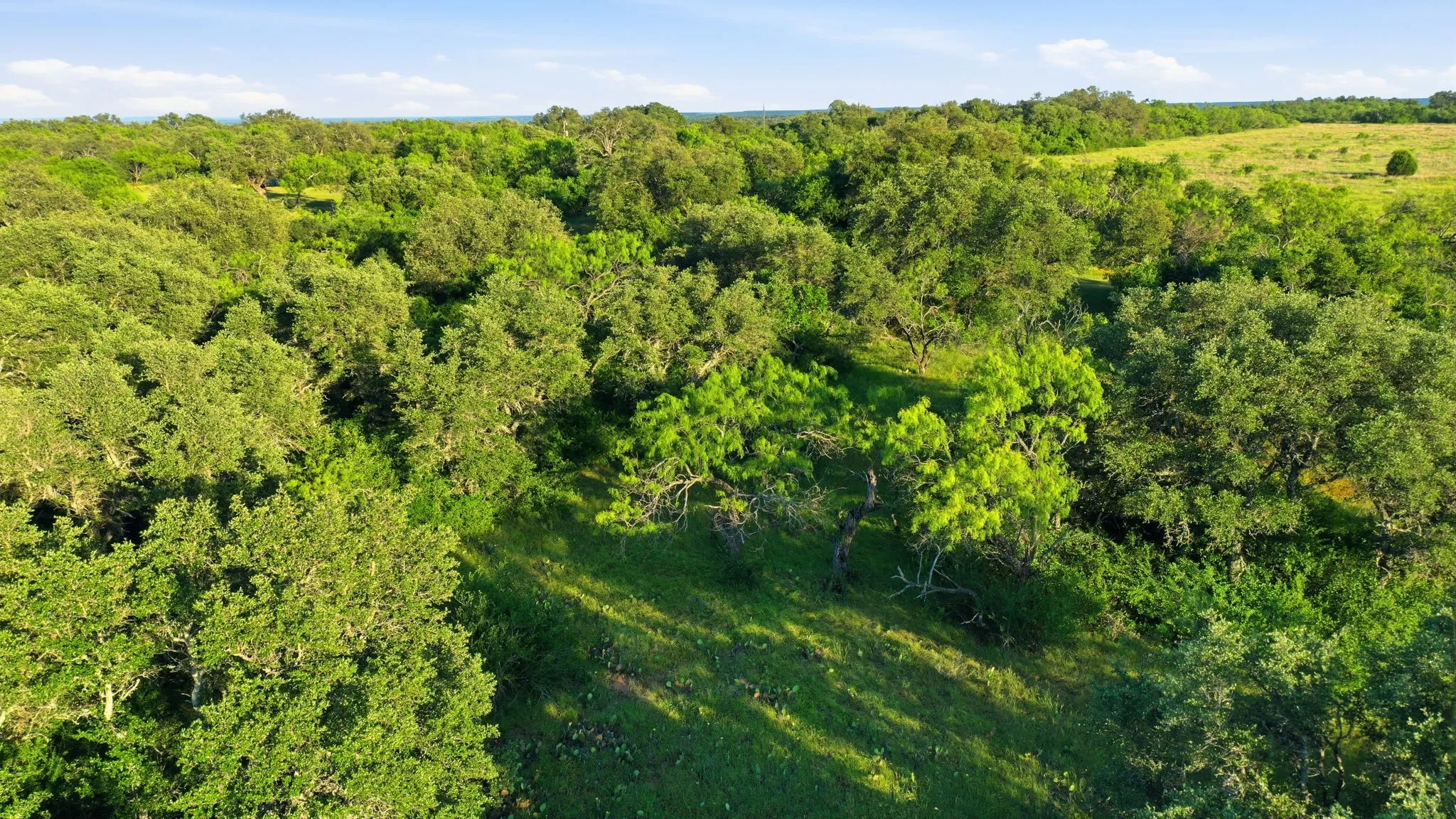 Unimproved Land For Sale in Coleman County , 1343 County Road 188, Cross Plains, Texas 76443, 0, 0, Garage spaces, 0 Sqft, built in 0, mls#21267769, Real Estate Agent in Cross Plains, Homes For Sale in Coleman county, Homes For Sale in Cross Plains, Realtor in Cross Plains Texas, Real Estate Brokerage Independent Realty Texas, Luminita Cordes Realtor