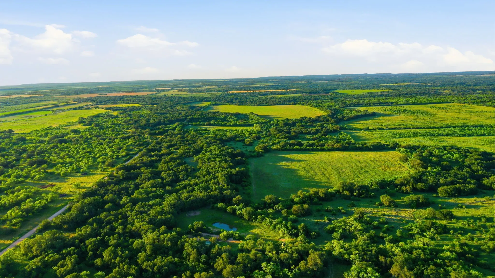Unimproved Land For Sale in Coleman County , 1343 County Road 188, Cross Plains, Texas 76443, 0, 0, Garage spaces, 0 Sqft, built in 0, mls#21267769, Real Estate Agent in Cross Plains, Homes For Sale in Coleman county, Homes For Sale in Cross Plains, Realtor in Cross Plains Texas, Real Estate Brokerage Independent Realty Texas, Luminita Cordes Realtor