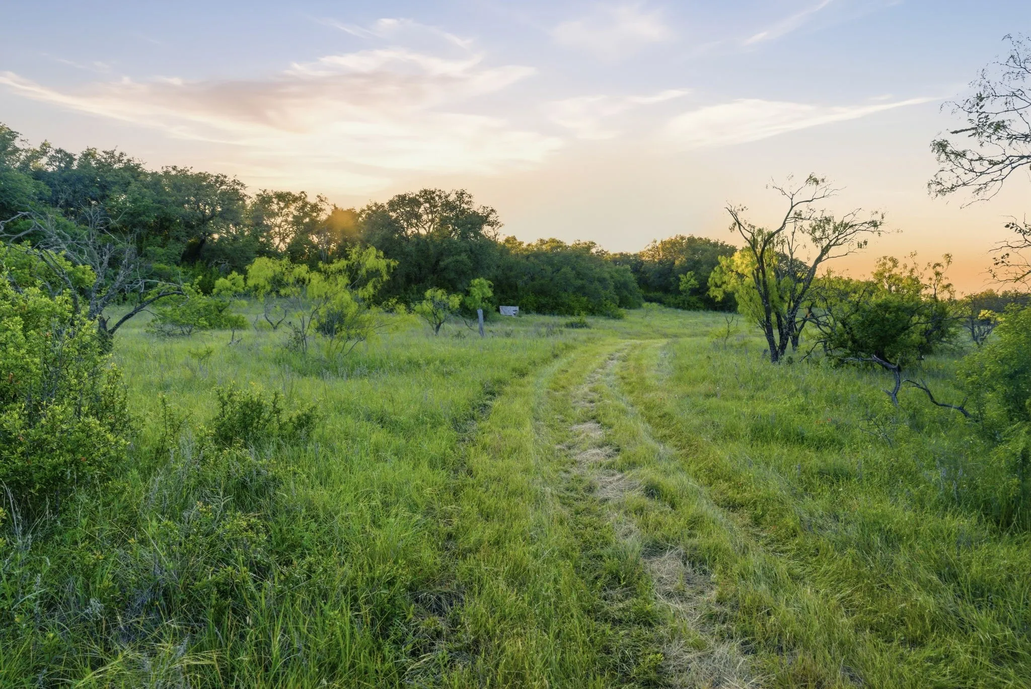 Unimproved Land For Sale in Coleman County , 1343 County Road 188, Cross Plains, Texas 76443, 0, 0, Garage spaces, 0 Sqft, built in 0, mls#21267769, Real Estate Agent in Cross Plains, Homes For Sale in Coleman county, Homes For Sale in Cross Plains, Realtor in Cross Plains Texas, Real Estate Brokerage Independent Realty Texas, Luminita Cordes Realtor