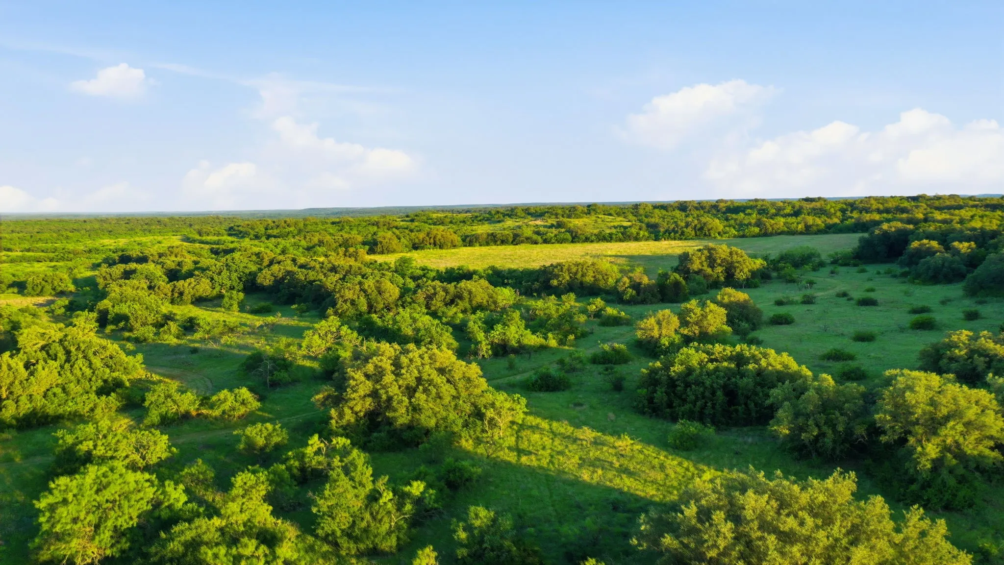 Unimproved Land For Sale in Coleman County , 1343 County Road 188, Cross Plains, Texas 76443, 0, 0, Garage spaces, 0 Sqft, built in 0, mls#21267769, Real Estate Agent in Cross Plains, Homes For Sale in Coleman county, Homes For Sale in Cross Plains, Realtor in Cross Plains Texas, Real Estate Brokerage Independent Realty Texas, Luminita Cordes Realtor