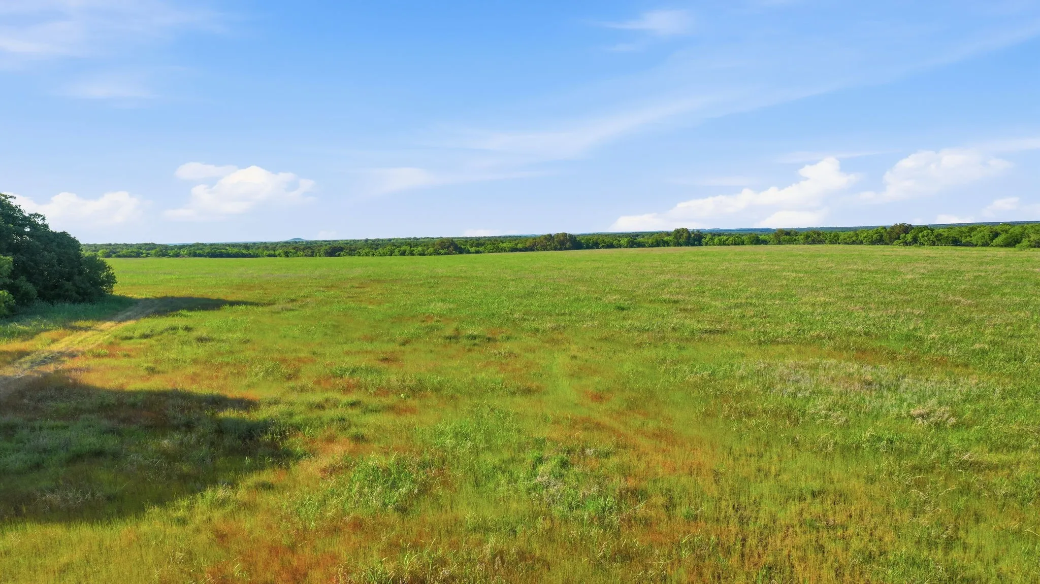 Unimproved Land For Sale in Coleman County , 1343 County Road 188, Cross Plains, Texas 76443, 0, 0, Garage spaces, 0 Sqft, built in 0, mls#21267769, Real Estate Agent in Cross Plains, Homes For Sale in Coleman county, Homes For Sale in Cross Plains, Realtor in Cross Plains Texas, Real Estate Brokerage Independent Realty Texas, Luminita Cordes Realtor