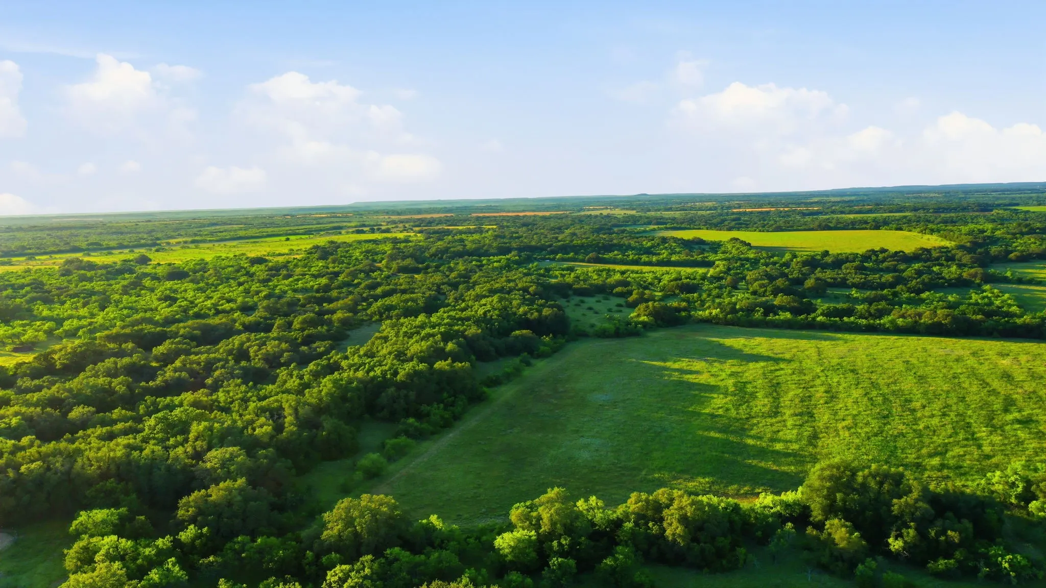 Unimproved Land For Sale in Coleman County , 1343 County Road 188, Cross Plains, Texas 76443, 0, 0, Garage spaces, 0 Sqft, built in 0, mls#21267769, Real Estate Agent in Cross Plains, Homes For Sale in Coleman county, Homes For Sale in Cross Plains, Realtor in Cross Plains Texas, Real Estate Brokerage Independent Realty Texas, Luminita Cordes Realtor