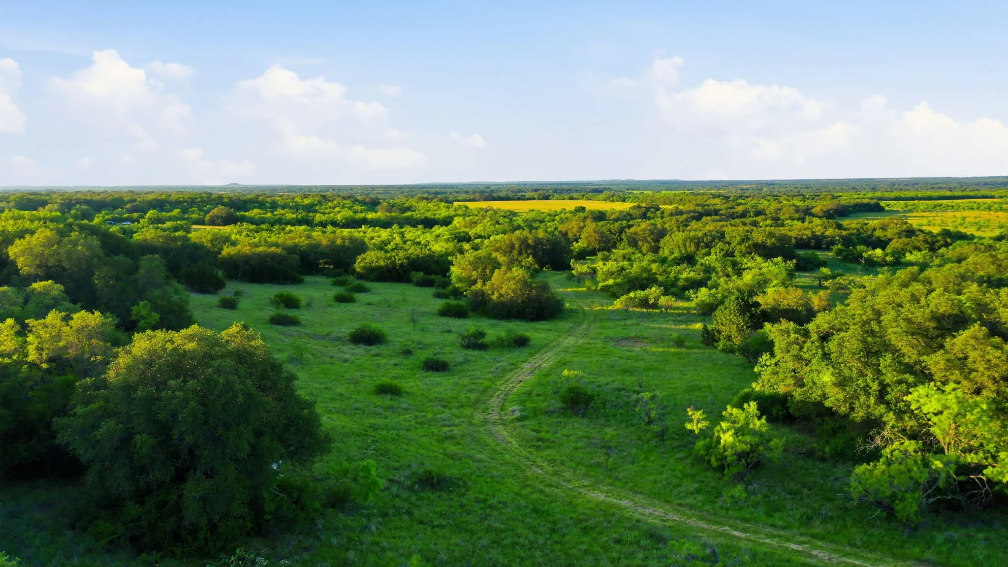 Unimproved Land For Sale in Coleman County , 1343 County Road 188, Cross Plains, Texas 76443, 0, 0, Garage spaces, 0 Sqft, built in 0, mls#21267769, Real Estate Agent in Cross Plains, Homes For Sale in Coleman county, Homes For Sale in Cross Plains, Realtor in Cross Plains Texas, Real Estate Brokerage Independent Realty Texas, Luminita Cordes Realtor