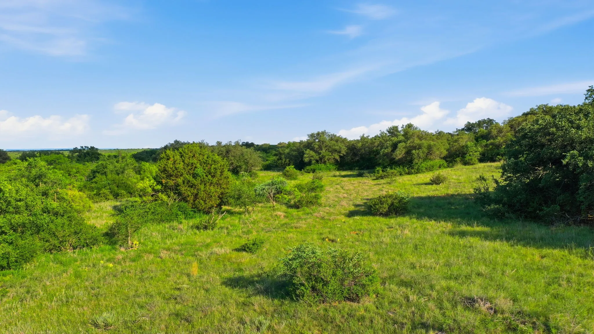 Unimproved Land For Sale in Coleman County , 1343 County Road 188, Cross Plains, Texas 76443, 0, 0, Garage spaces, 0 Sqft, built in 0, mls#21267769, Real Estate Agent in Cross Plains, Homes For Sale in Coleman county, Homes For Sale in Cross Plains, Realtor in Cross Plains Texas, Real Estate Brokerage Independent Realty Texas, Luminita Cordes Realtor