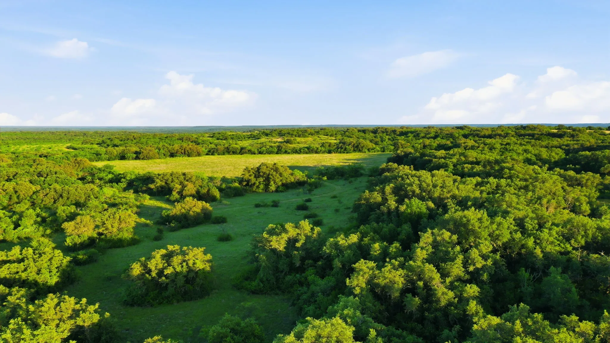 Unimproved Land For Sale in Coleman County , 1343 County Road 188, Cross Plains, Texas 76443, 0, 0, Garage spaces, 0 Sqft, built in 0, mls#21267769, Real Estate Agent in Cross Plains, Homes For Sale in Coleman county, Homes For Sale in Cross Plains, Realtor in Cross Plains Texas, Real Estate Brokerage Independent Realty Texas, Luminita Cordes Realtor