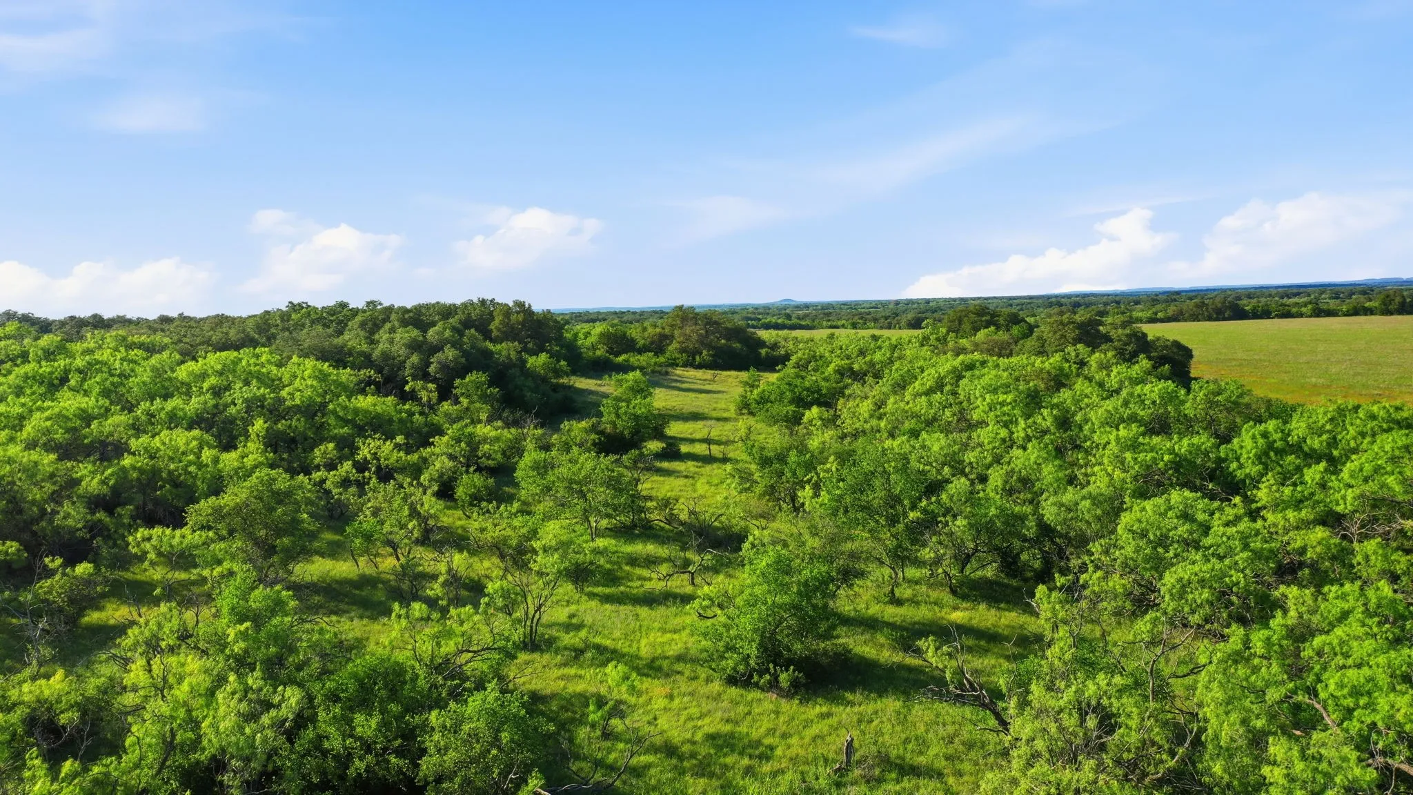 Unimproved Land For Sale in Coleman County , 1343 County Road 188, Cross Plains, Texas 76443, 0, 0, Garage spaces, 0 Sqft, built in 0, mls#21267769, Real Estate Agent in Cross Plains, Homes For Sale in Coleman county, Homes For Sale in Cross Plains, Realtor in Cross Plains Texas, Real Estate Brokerage Independent Realty Texas, Luminita Cordes Realtor