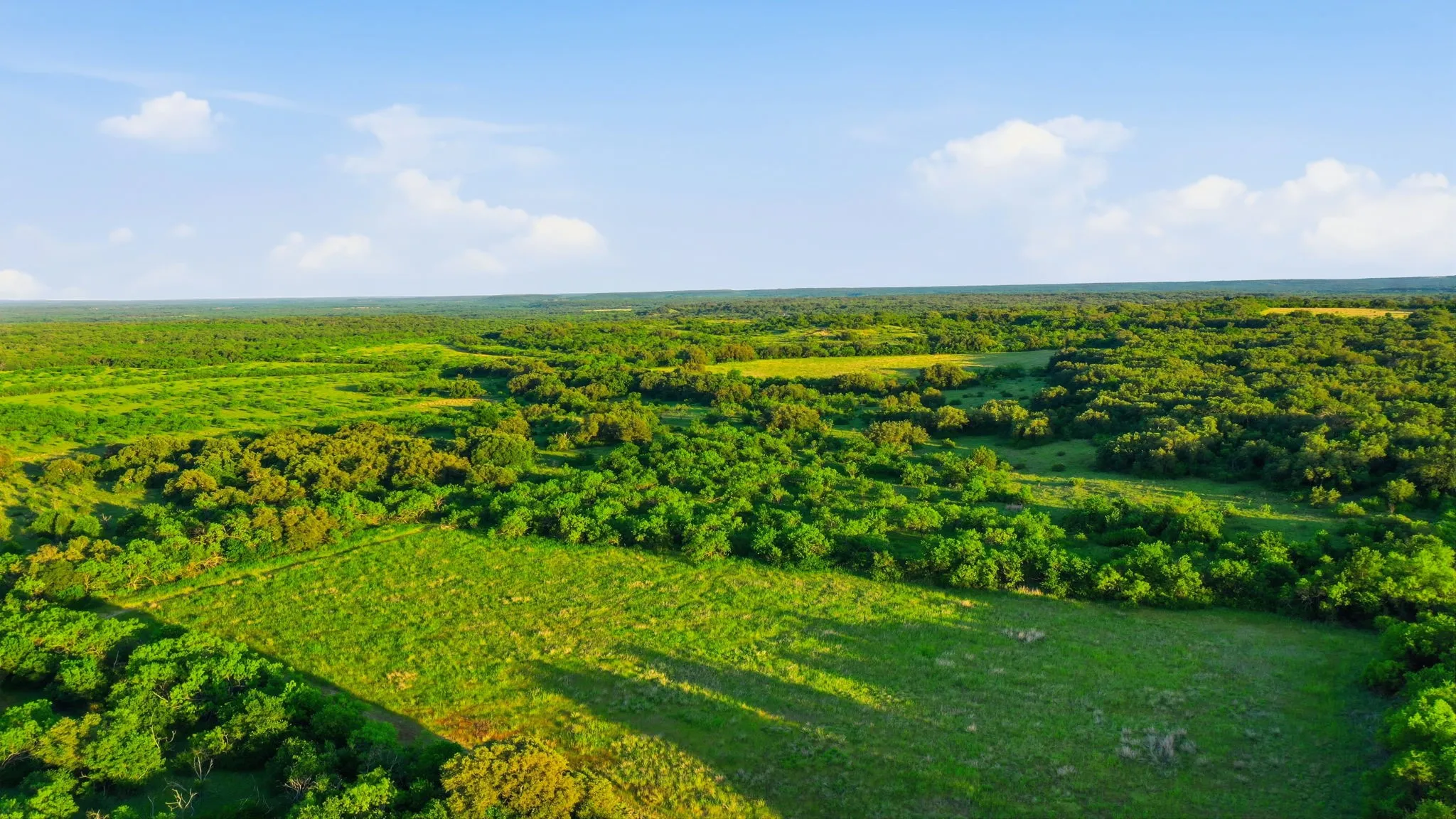 Unimproved Land For Sale in Coleman County , 1343 County Road 188, Cross Plains, Texas 76443, 0, 0, Garage spaces, 0 Sqft, built in 0, mls#21267769, Real Estate Agent in Cross Plains, Homes For Sale in Coleman county, Homes For Sale in Cross Plains, Realtor in Cross Plains Texas, Real Estate Brokerage Independent Realty Texas, Luminita Cordes Realtor
