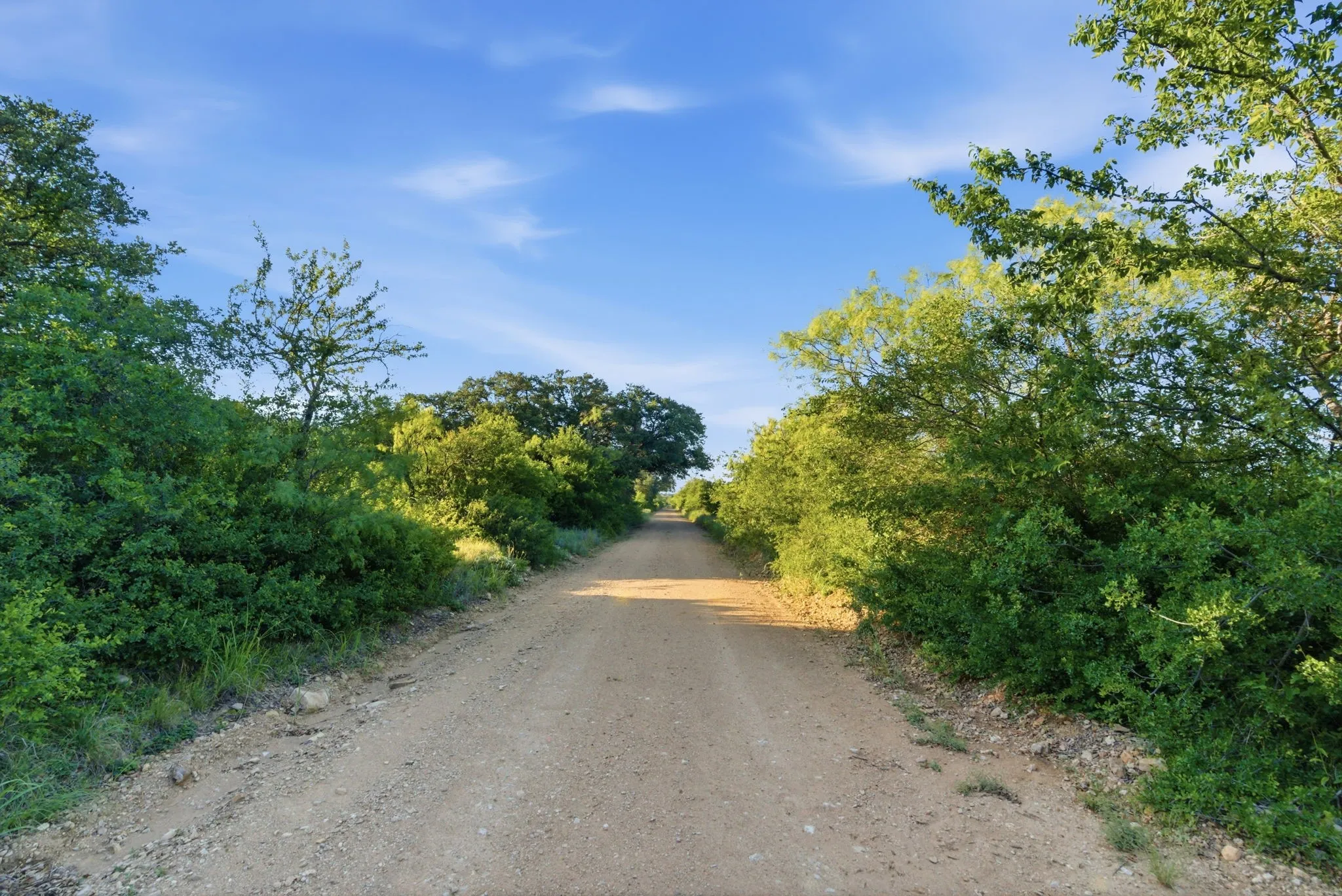 Unimproved Land For Sale in Coleman County , 1343 County Road 188, Cross Plains, Texas 76443, 0, 0, Garage spaces, 0 Sqft, built in 0, mls#21267769, Real Estate Agent in Cross Plains, Homes For Sale in Coleman county, Homes For Sale in Cross Plains, Realtor in Cross Plains Texas, Real Estate Brokerage Independent Realty Texas, Luminita Cordes Realtor