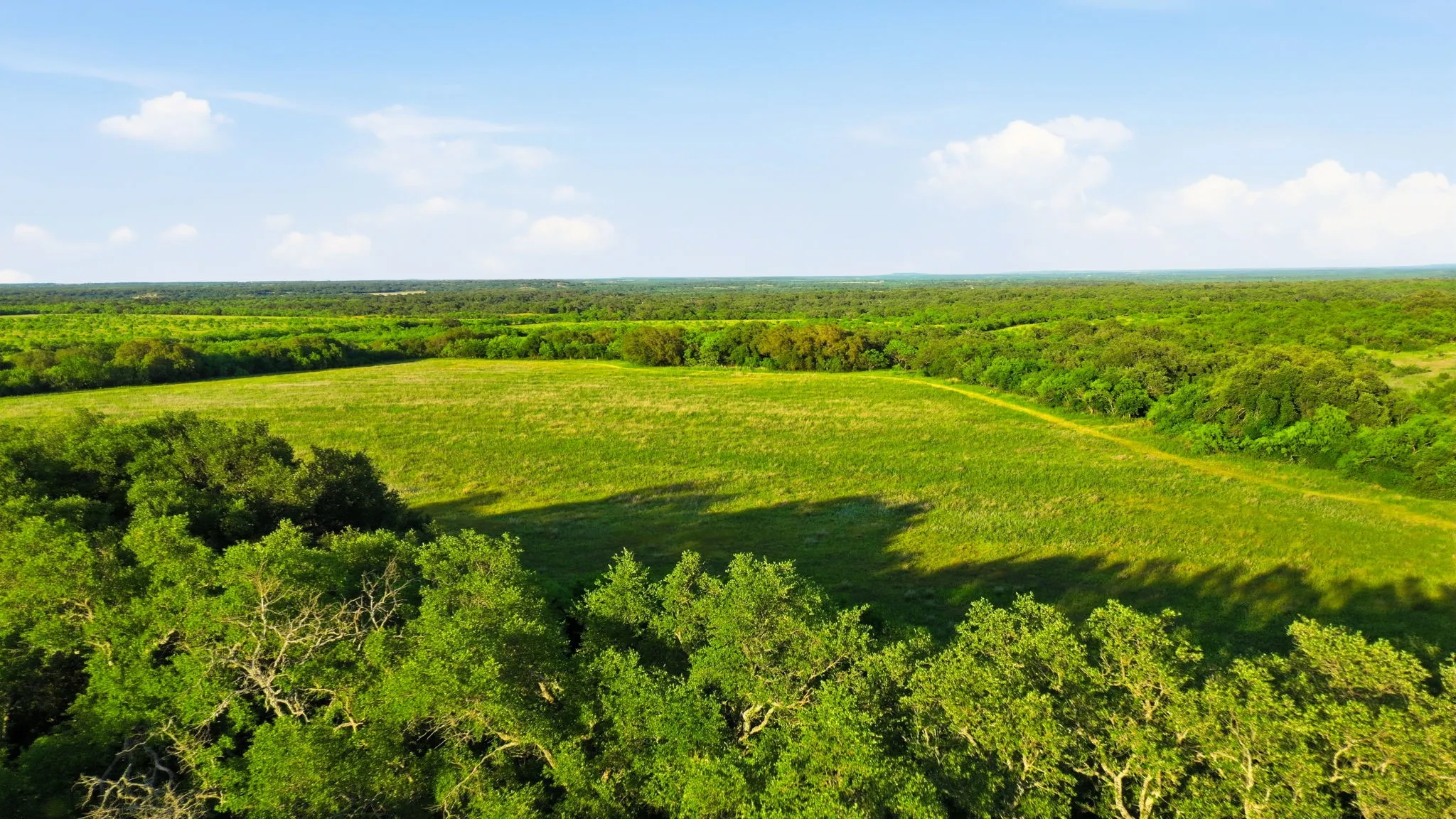 Unimproved Land For Sale in Coleman County , 1343 County Road 188, Cross Plains, Texas 76443, 0, 0, Garage spaces, 0 Sqft, built in 0, mls#21267769, Real Estate Agent in Cross Plains, Homes For Sale in Coleman county, Homes For Sale in Cross Plains, Realtor in Cross Plains Texas, Real Estate Brokerage Independent Realty Texas, Luminita Cordes Realtor