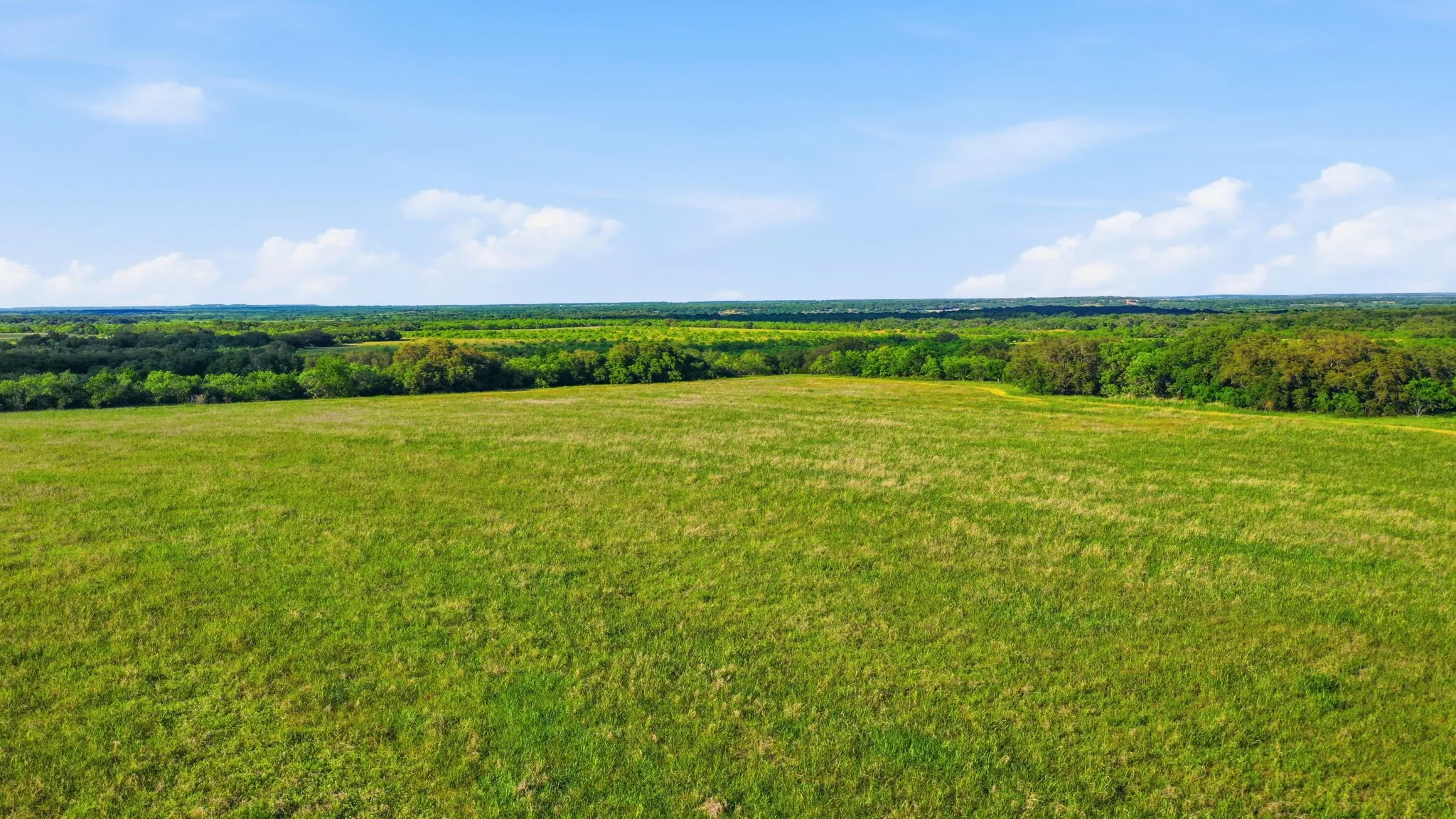 Unimproved Land For Sale in Coleman County , 1343 County Road 188, Cross Plains, Texas 76443, 0, 0, Garage spaces, 0 Sqft, built in 0, mls#21267769, Real Estate Agent in Cross Plains, Homes For Sale in Coleman county, Homes For Sale in Cross Plains, Realtor in Cross Plains Texas, Real Estate Brokerage Independent Realty Texas, Luminita Cordes Realtor