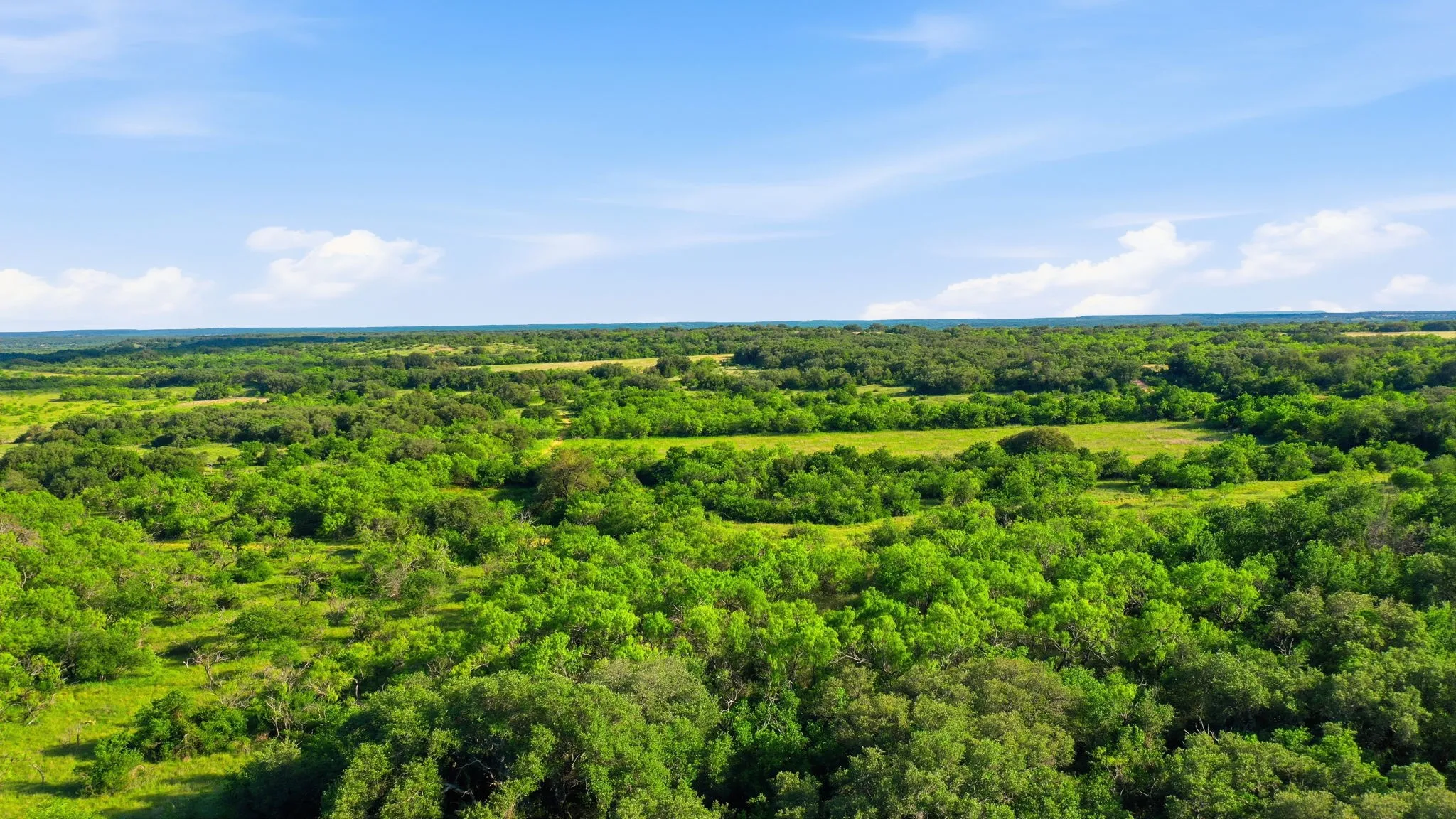 Unimproved Land For Sale in Coleman County , 1343 County Road 188, Cross Plains, Texas 76443, 0, 0, Garage spaces, 0 Sqft, built in 0, mls#21267769, Real Estate Agent in Cross Plains, Homes For Sale in Coleman county, Homes For Sale in Cross Plains, Realtor in Cross Plains Texas, Real Estate Brokerage Independent Realty Texas, Luminita Cordes Realtor