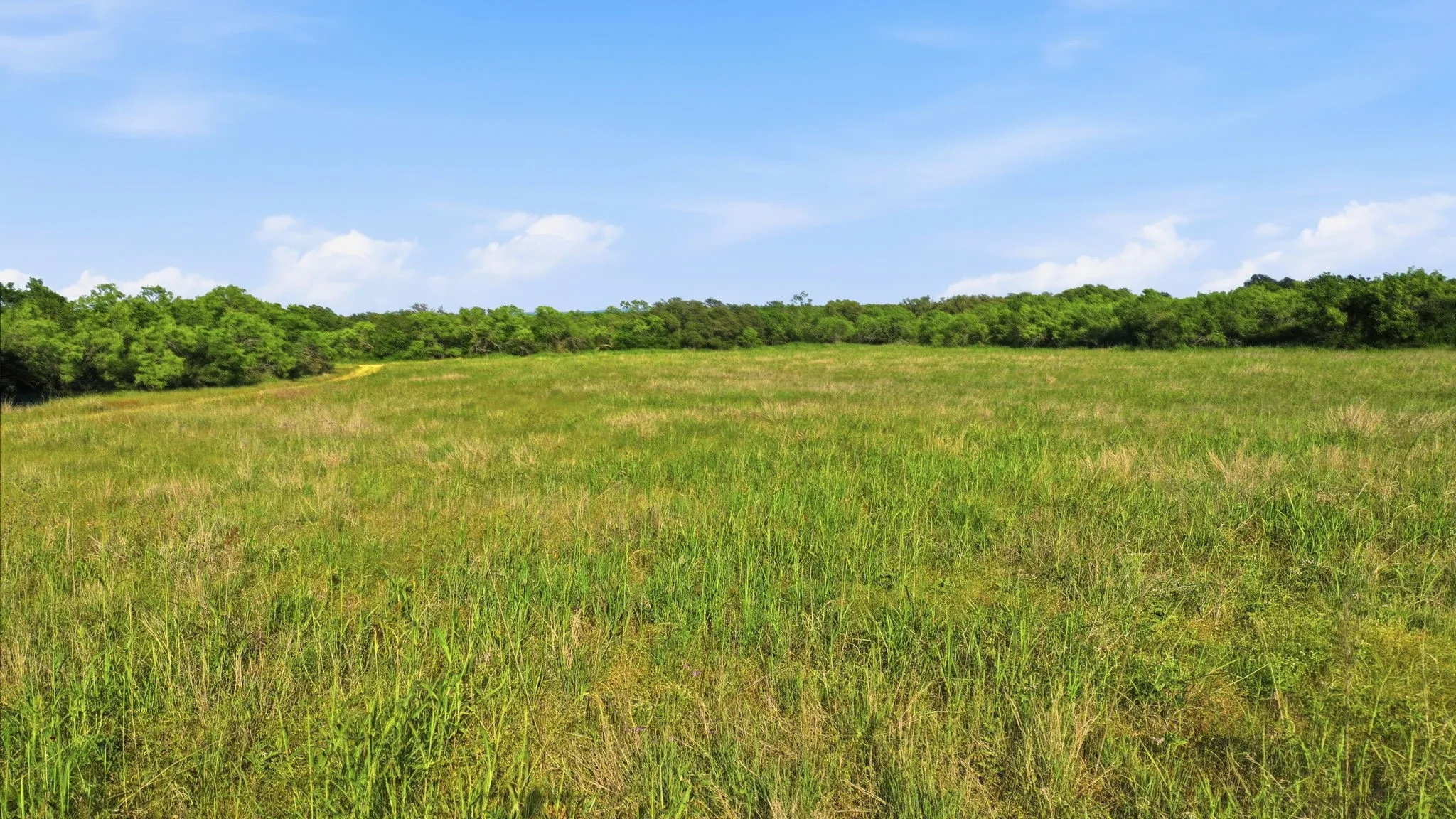 Unimproved Land For Sale in Coleman County , 1343 County Road 188, Cross Plains, Texas 76443, 0, 0, Garage spaces, 0 Sqft, built in 0, mls#21267769, Real Estate Agent in Cross Plains, Homes For Sale in Coleman county, Homes For Sale in Cross Plains, Realtor in Cross Plains Texas, Real Estate Brokerage Independent Realty Texas, Luminita Cordes Realtor