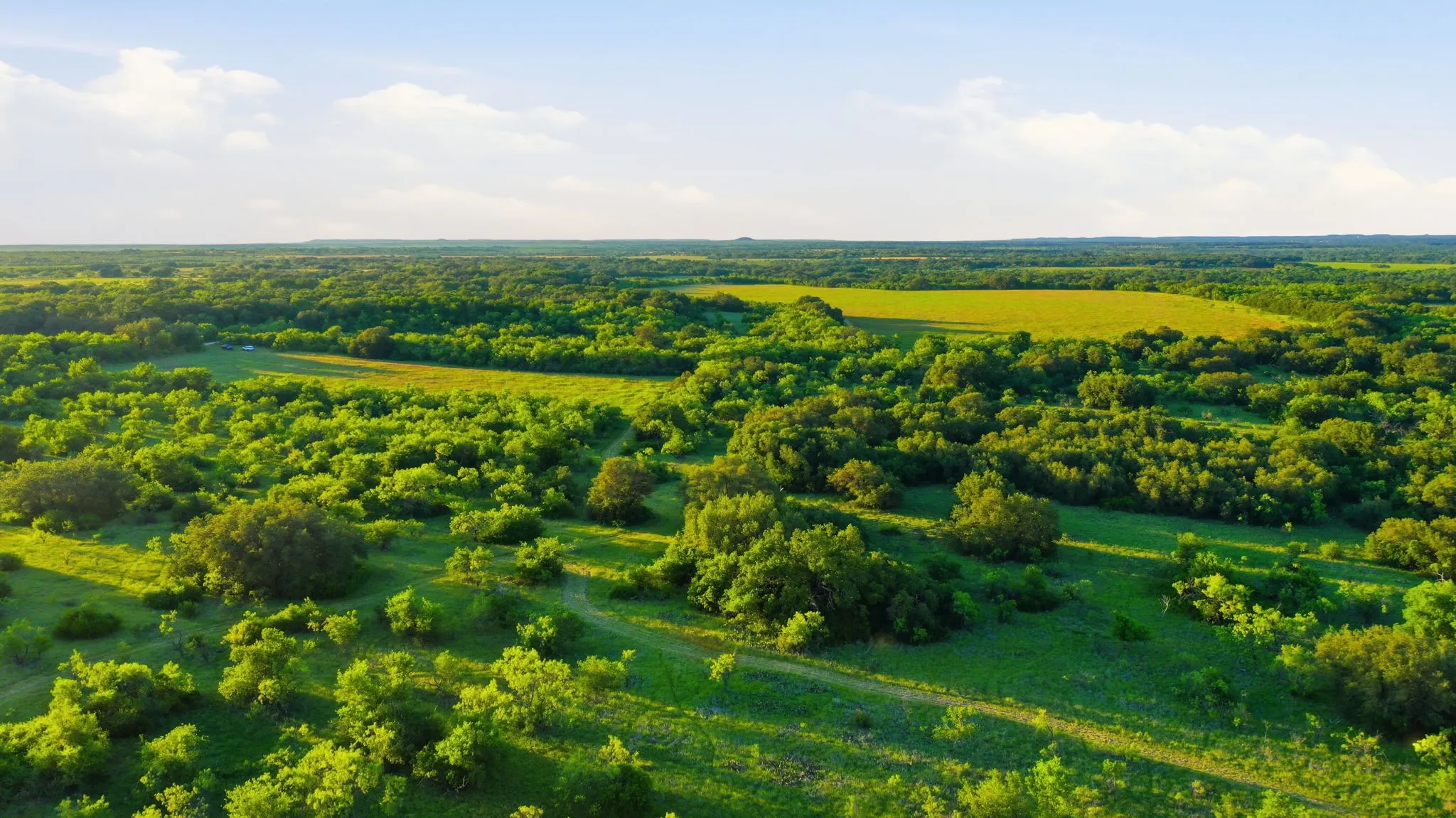 Unimproved Land For Sale in Coleman County , 1343 County Road 188, Cross Plains, Texas 76443, 0, 0, Garage spaces, 0 Sqft, built in 0, mls#21267769, Real Estate Agent in Cross Plains, Homes For Sale in Coleman county, Homes For Sale in Cross Plains, Realtor in Cross Plains Texas, Real Estate Brokerage Independent Realty Texas, Luminita Cordes Realtor