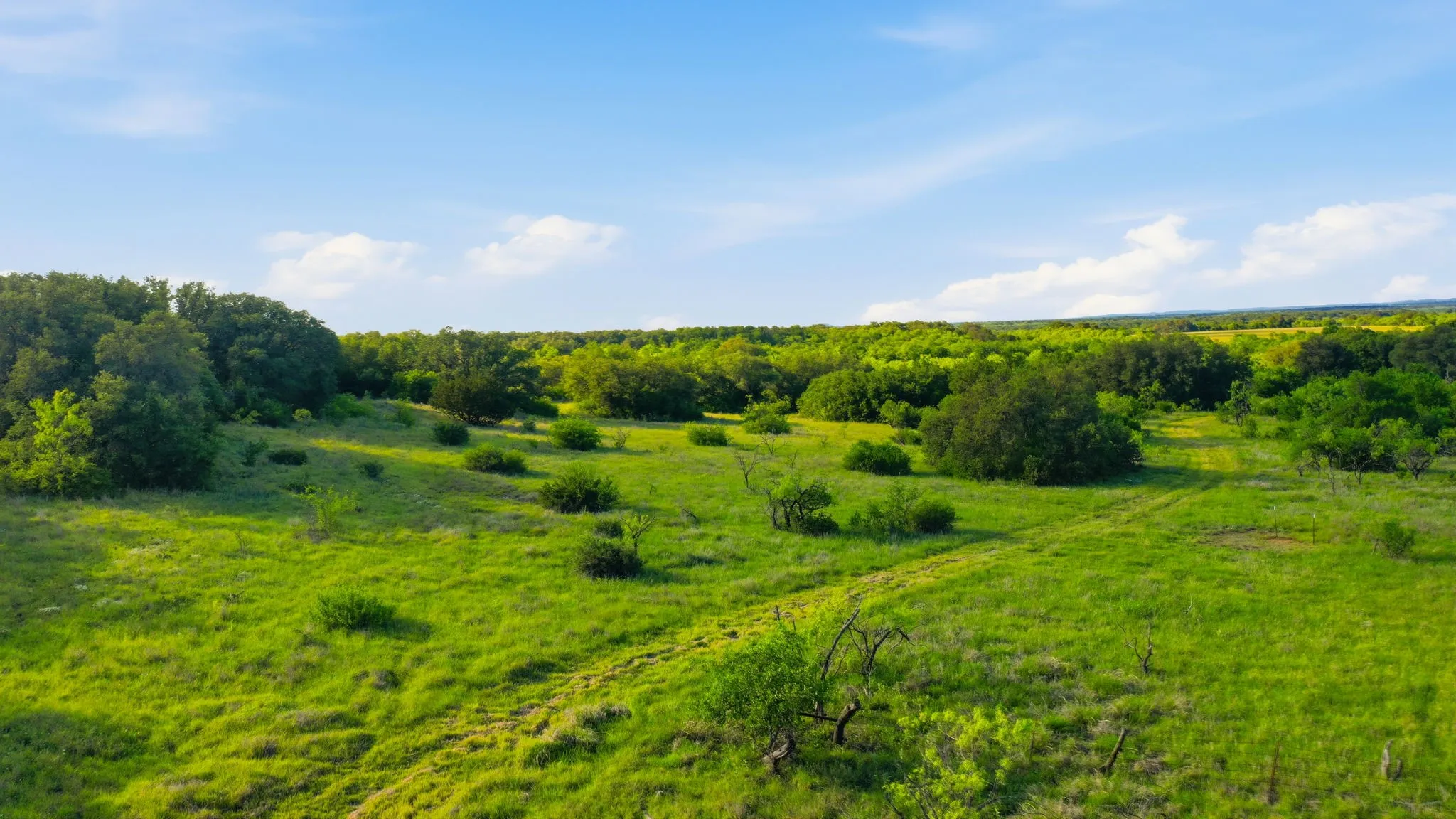 Unimproved Land For Sale in Coleman County , 1343 County Road 188, Cross Plains, Texas 76443, 0, 0, Garage spaces, 0 Sqft, built in 0, mls#21267769, Real Estate Agent in Cross Plains, Homes For Sale in Coleman county, Homes For Sale in Cross Plains, Realtor in Cross Plains Texas, Real Estate Brokerage Independent Realty Texas, Luminita Cordes Realtor