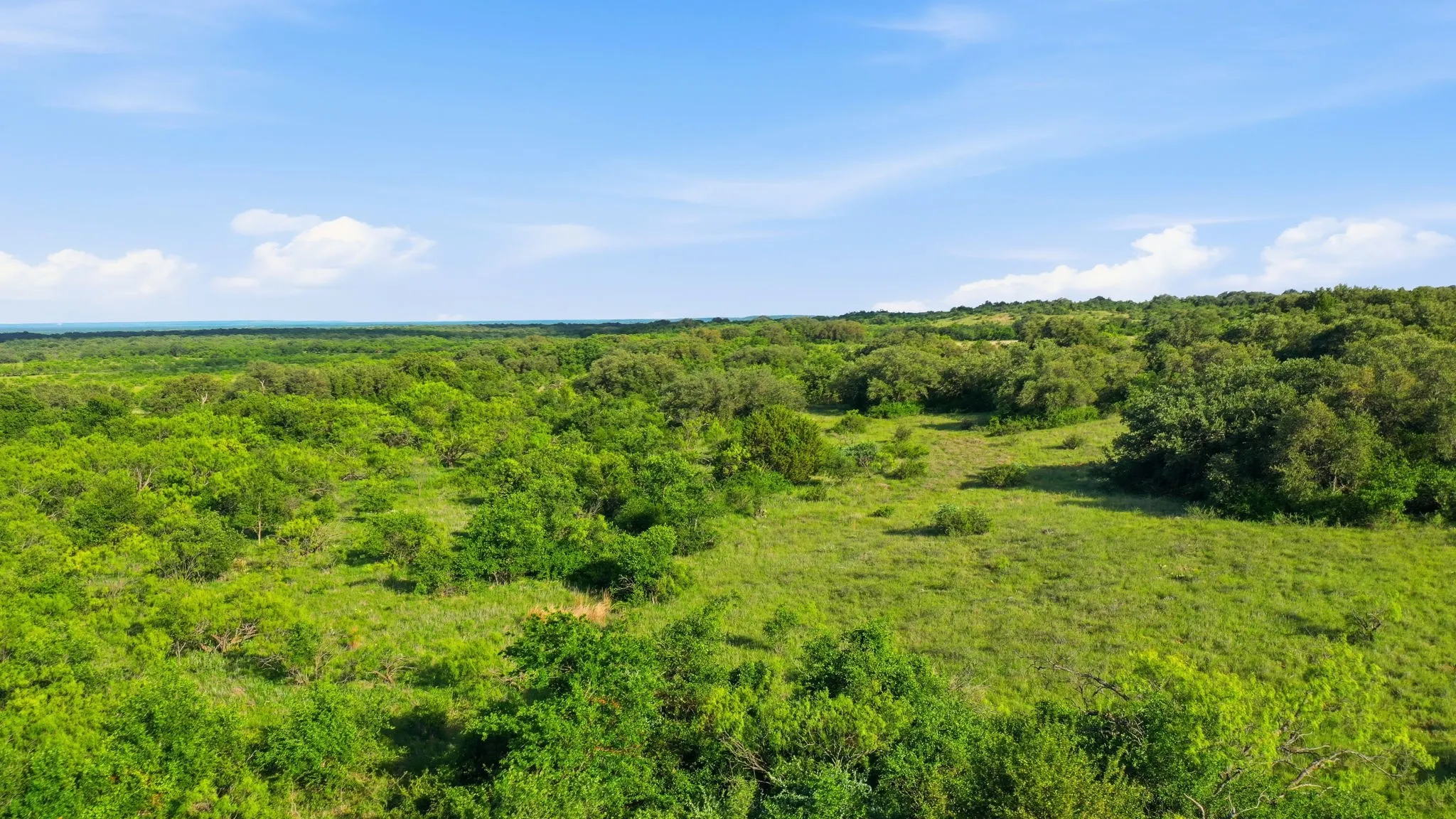 Unimproved Land For Sale in Coleman County , 1343 County Road 188, Cross Plains, Texas 76443, 0, 0, Garage spaces, 0 Sqft, built in 0, mls#21267769, Real Estate Agent in Cross Plains, Homes For Sale in Coleman county, Homes For Sale in Cross Plains, Realtor in Cross Plains Texas, Real Estate Brokerage Independent Realty Texas, Luminita Cordes Realtor