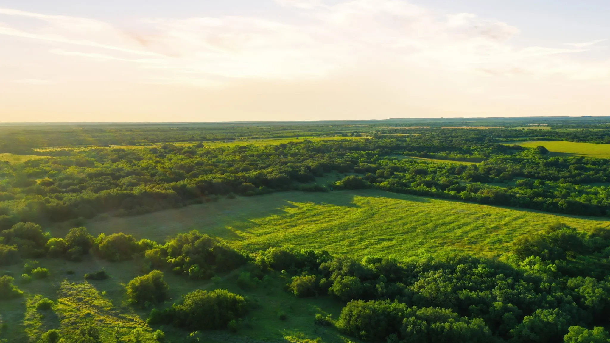 Unimproved Land For Sale in Coleman County , 1343 County Road 188, Cross Plains, Texas 76443, 0, 0, Garage spaces, 0 Sqft, built in 0, mls#21267769, Real Estate Agent in Cross Plains, Homes For Sale in Coleman county, Homes For Sale in Cross Plains, Realtor in Cross Plains Texas, Real Estate Brokerage Independent Realty Texas, Luminita Cordes Realtor